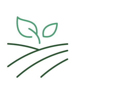 Sustainable Sourcing Icon