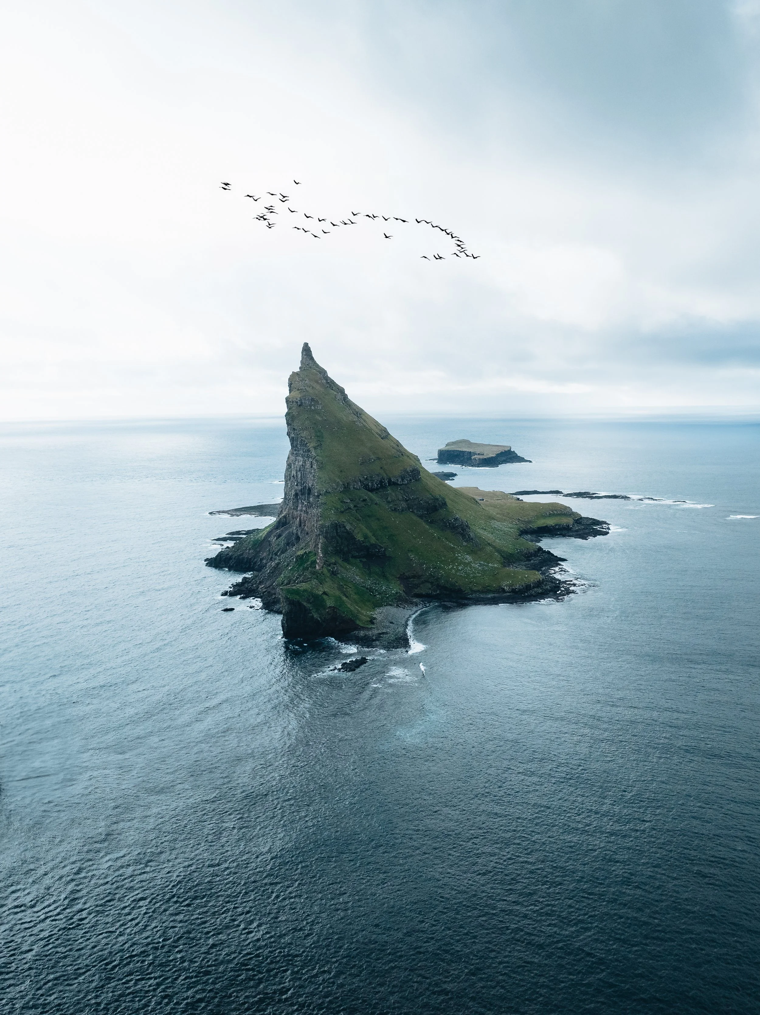 insel mit vögeln.jpg