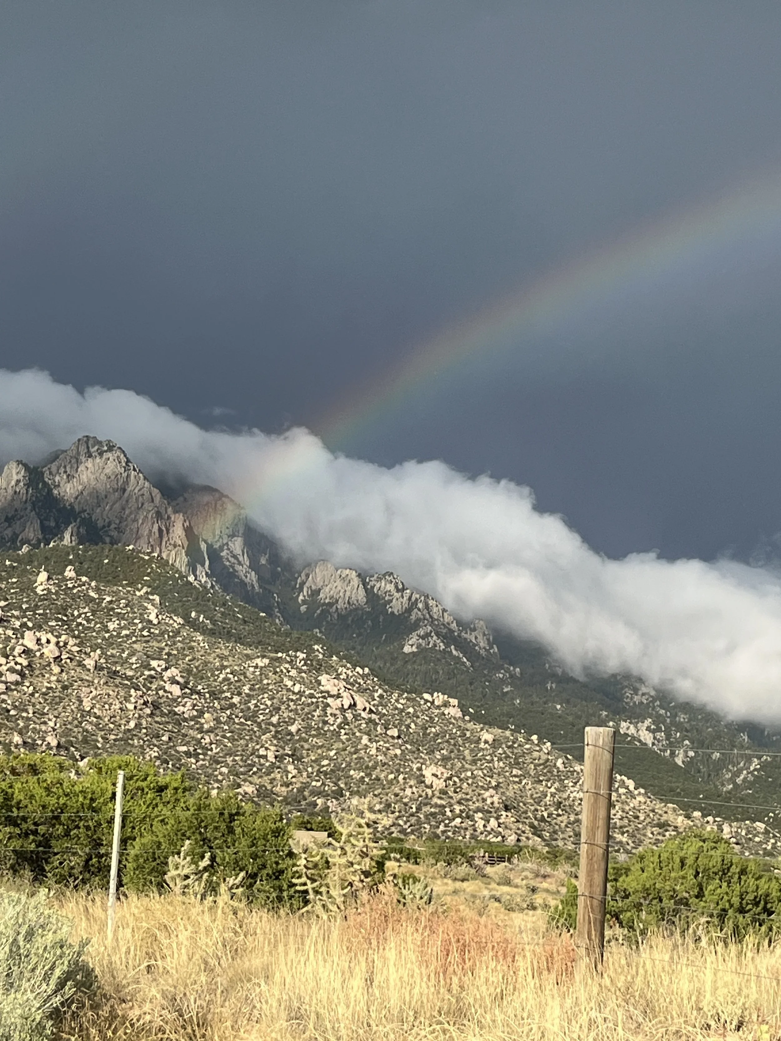 Physician-Clinician Peer Coaching Package - 3 sessions