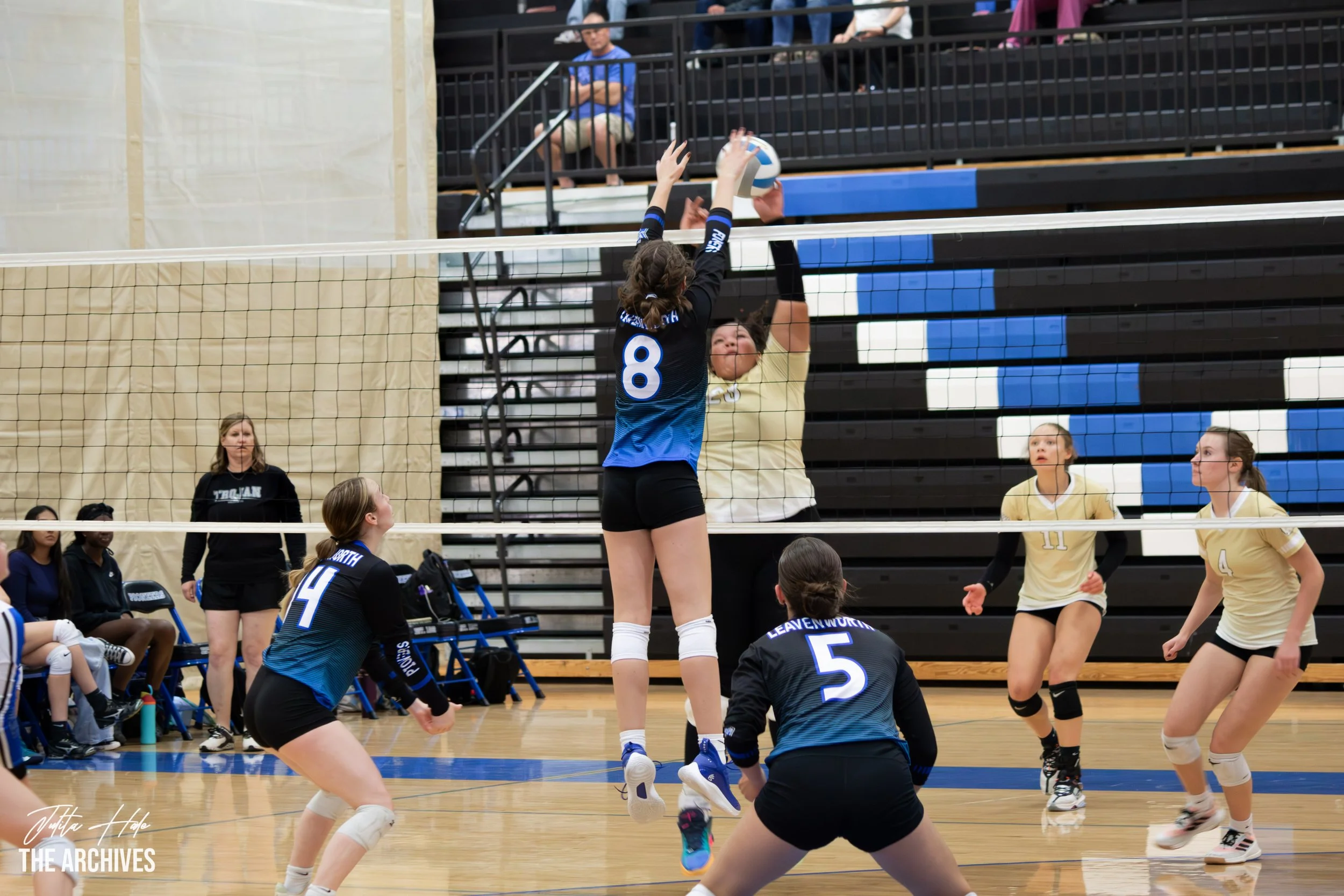 VB tri sept 4-1.jpg