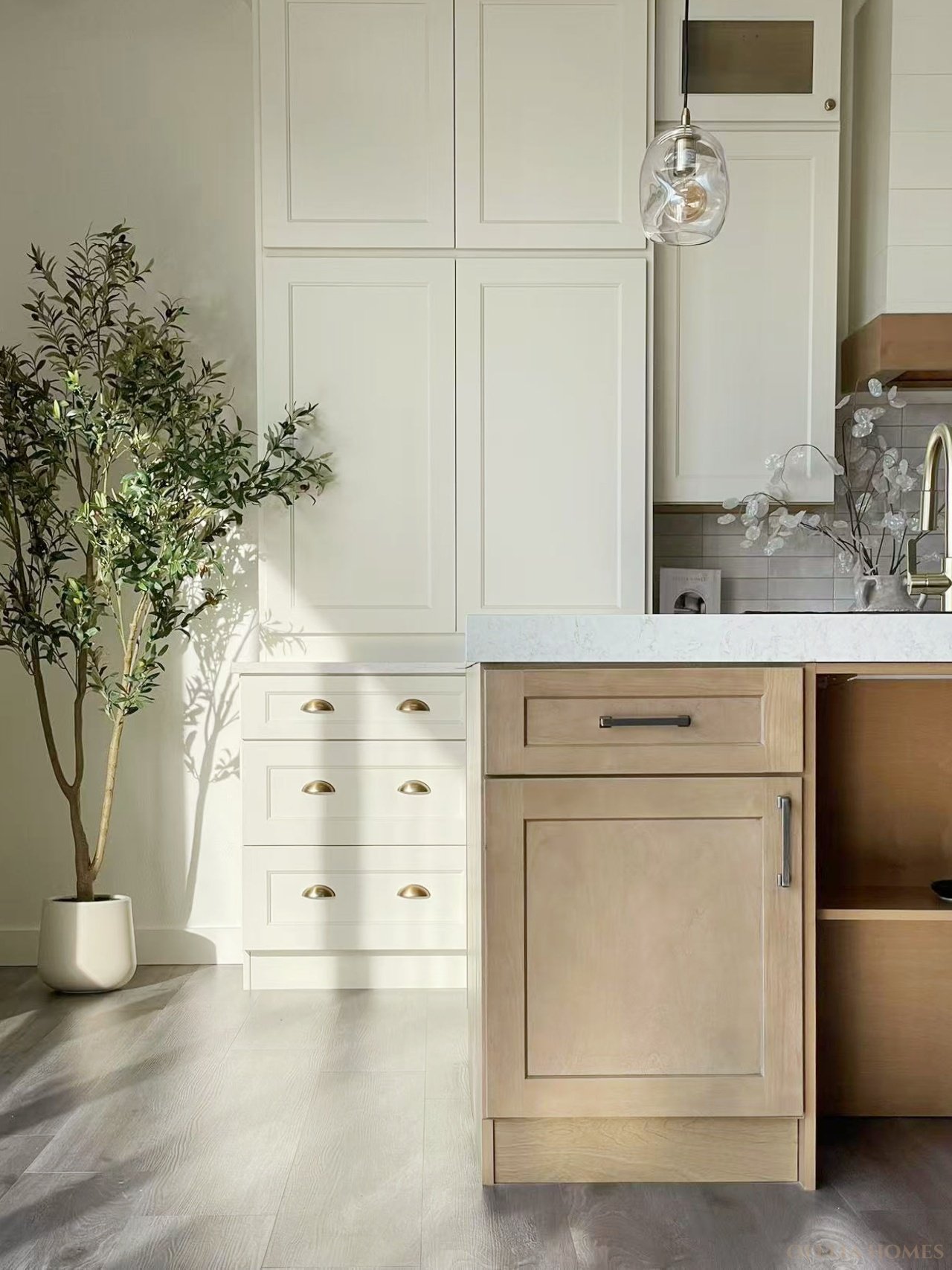 Modern kitchen with light wood cabinets, white drawers, a potted plant, and a pendant light.