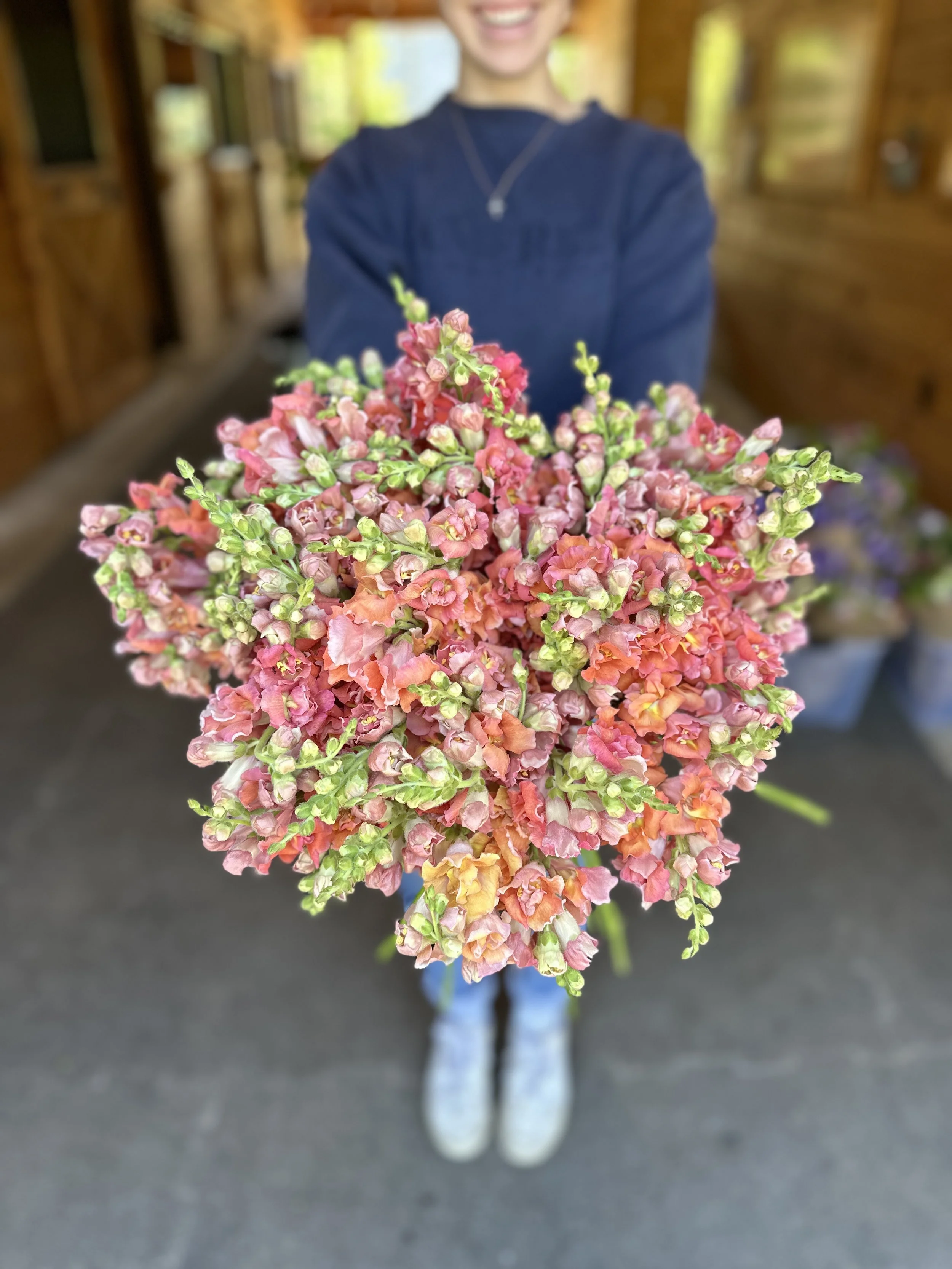 E24C482F-A72A-45F3-B5CF-278BDA4938C8IMG_0207 2.jpeg