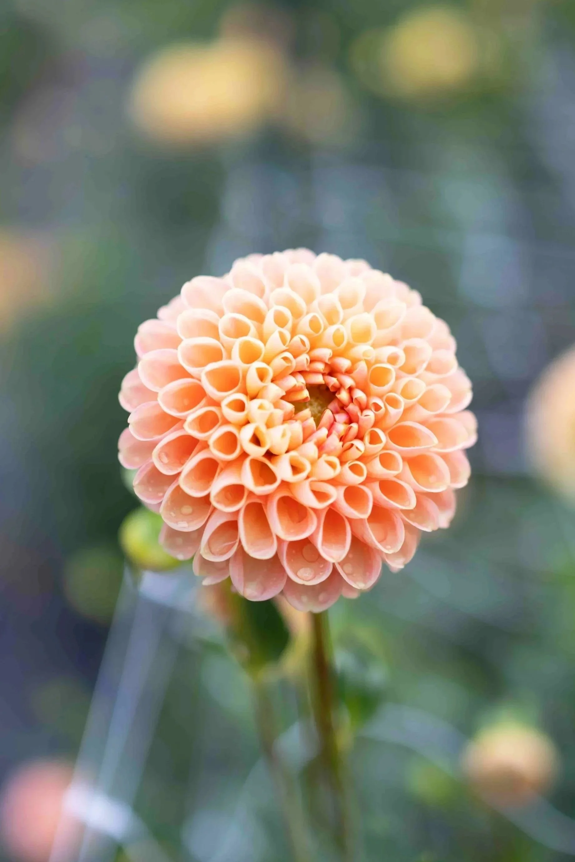 7D7A9198-2-2.jpg
