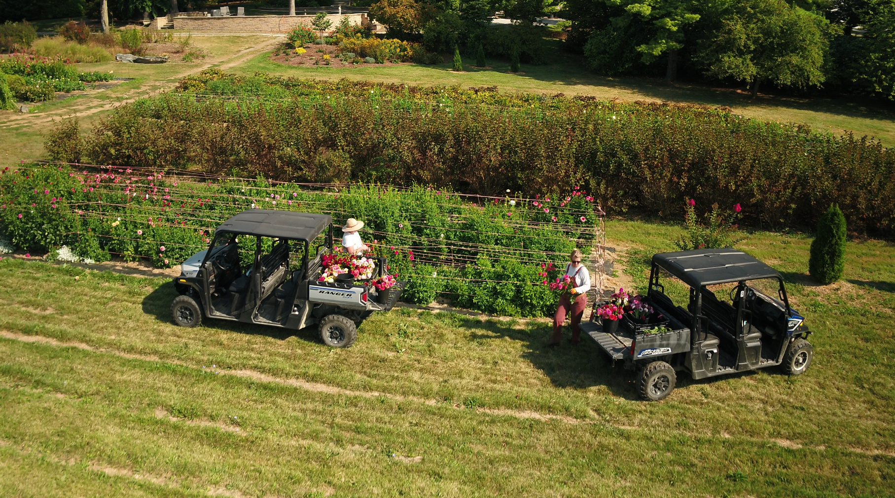 Aerial shot of 2025 dahlias with Jes and Morgan.png