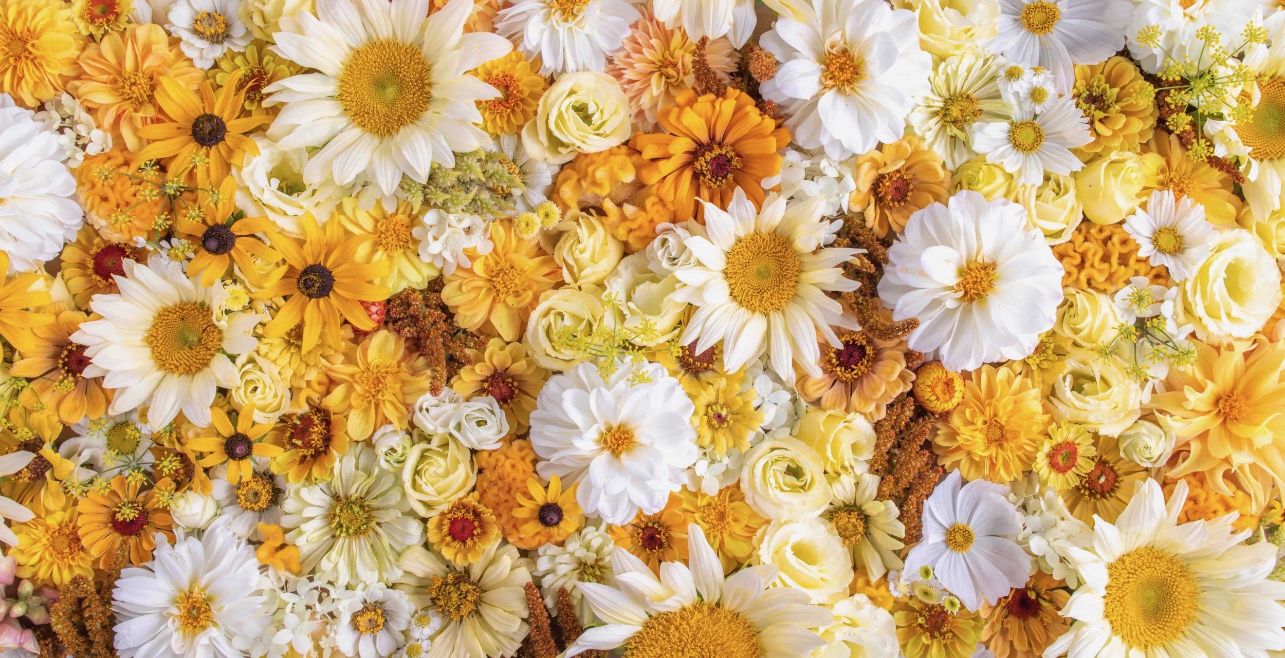 Butter, Biscuits &amp; Honey