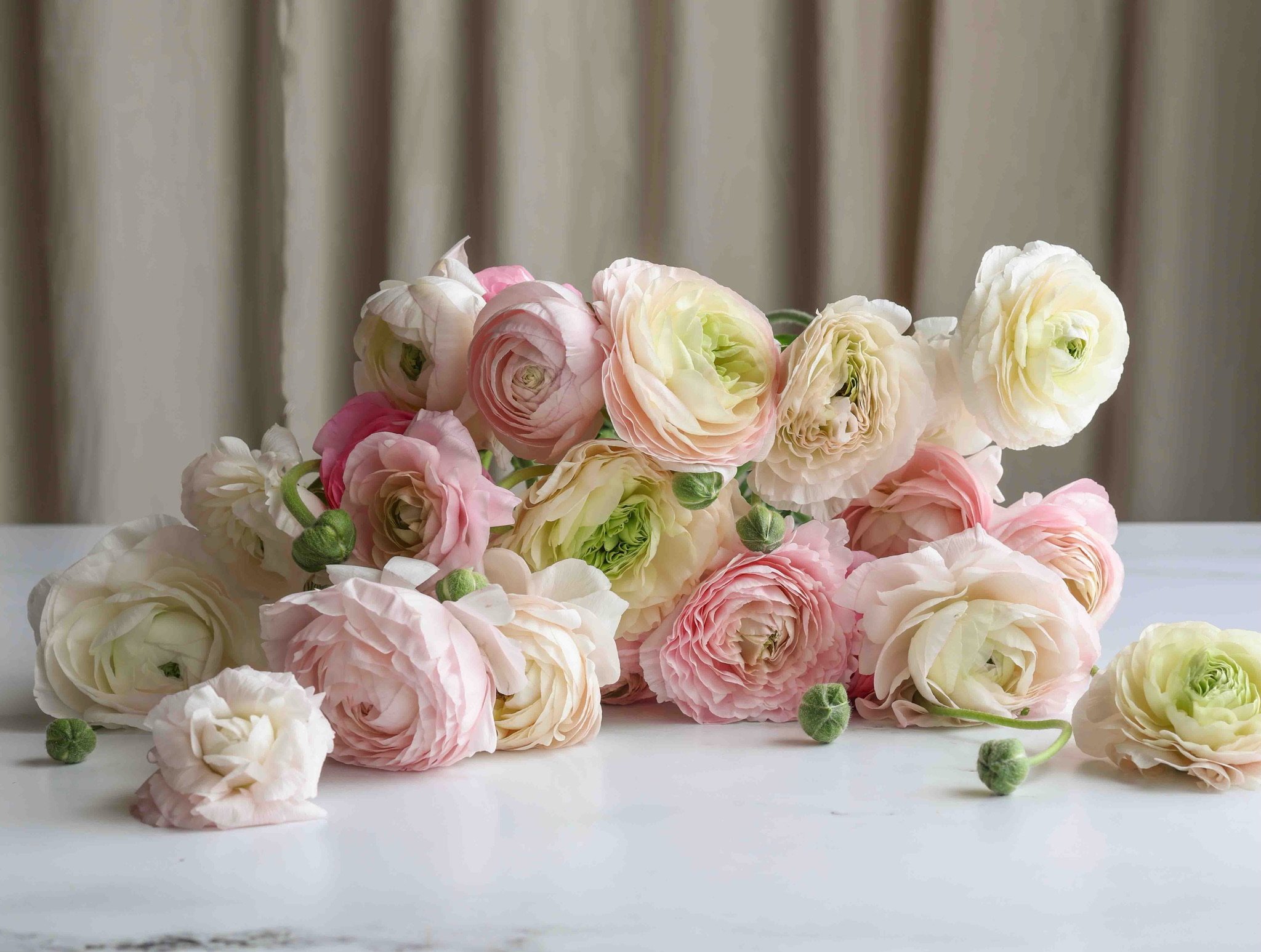 untitled-9848-small size.jpeg