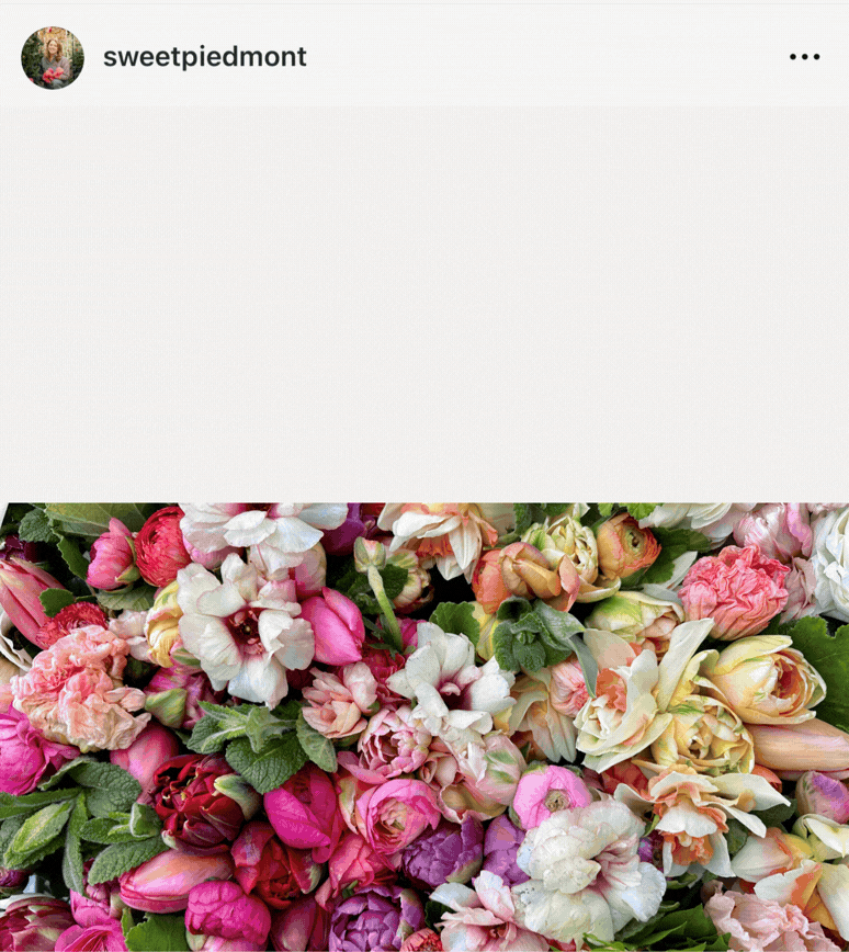 Mother's Day Instagram Story Example To Sell More Flowers and Get Conversions.gif