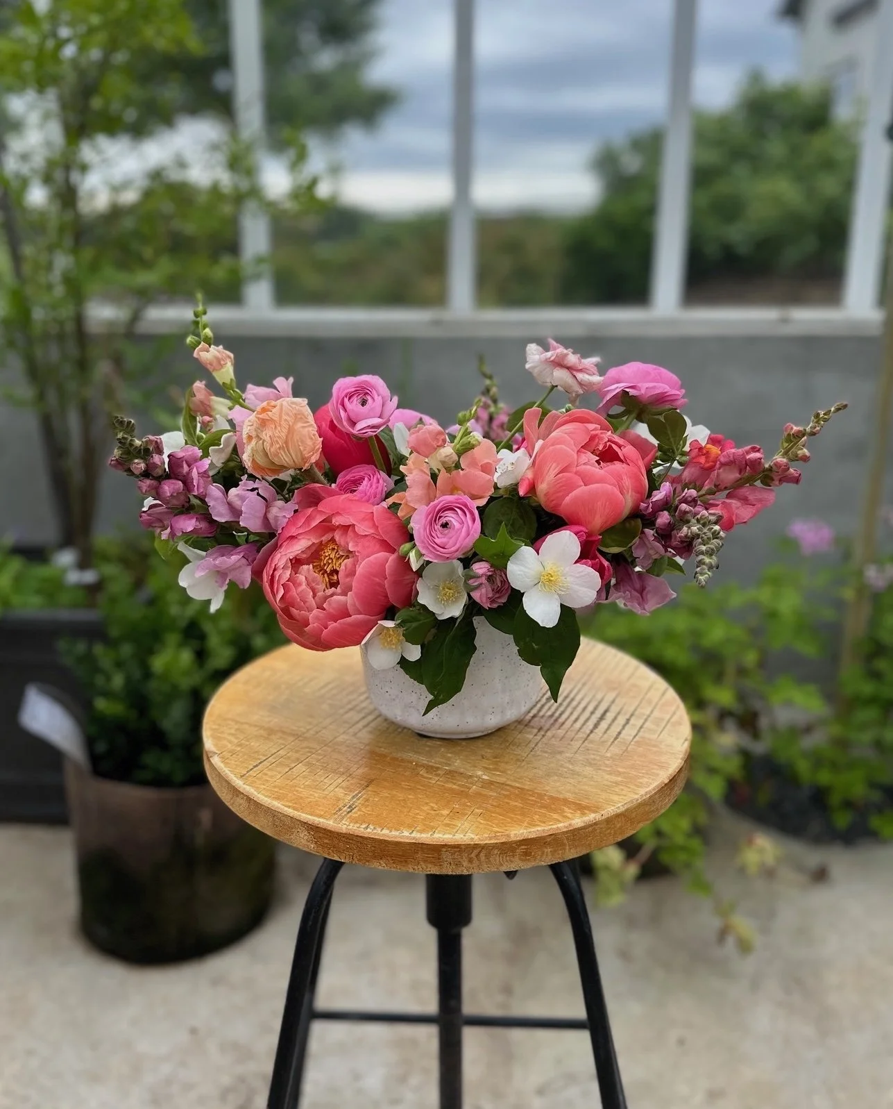 Sunset Arrangement in Greenhouse at Sweet Piedmont Flower Farm.jpeg