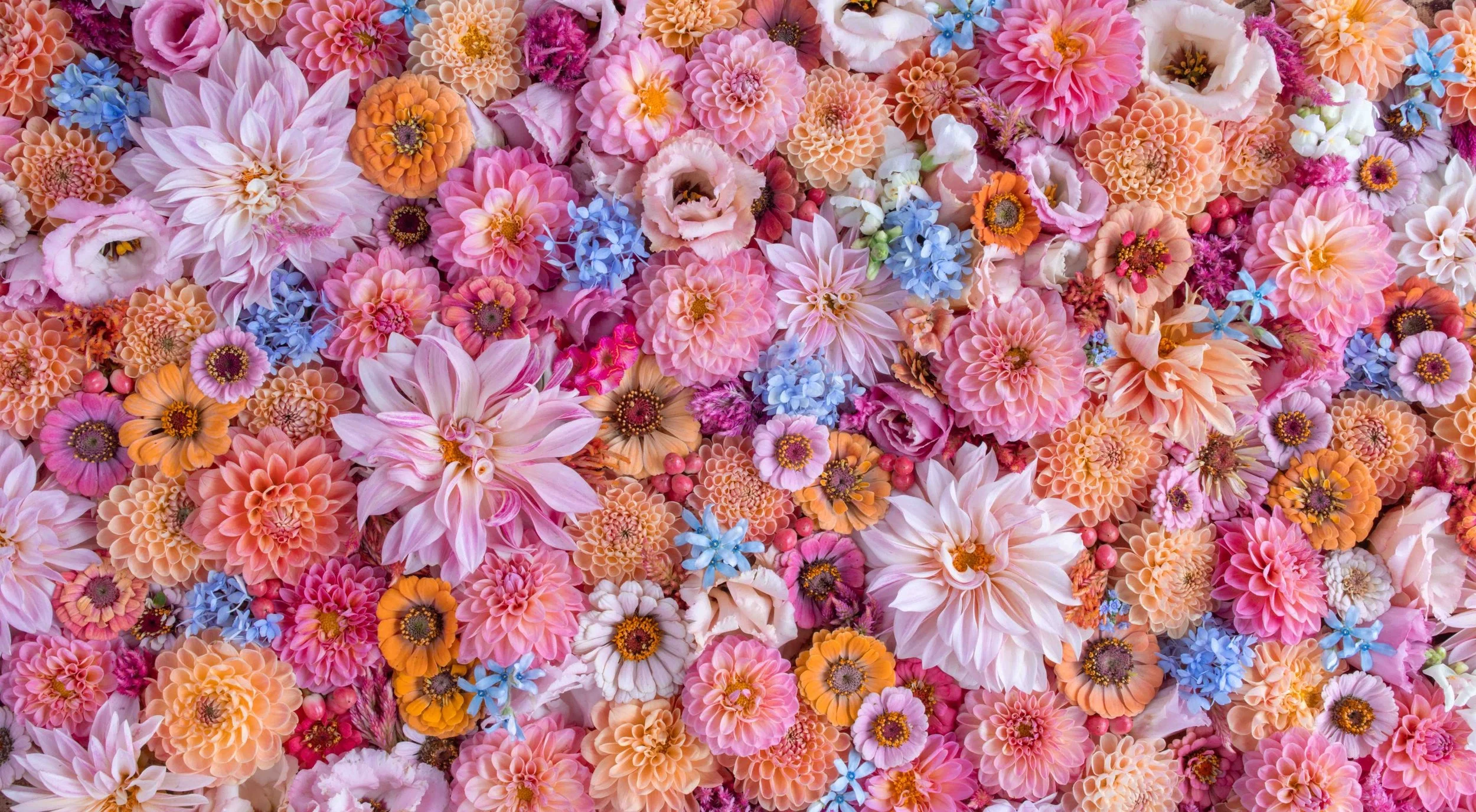 Color Commentary: The "Unicorn" Sweet Piedmont Signature Color Palette