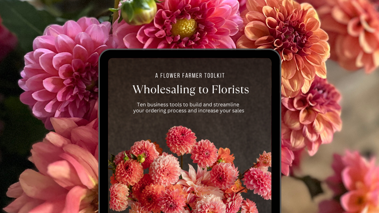 Toolkit: Wholesaling to Florists