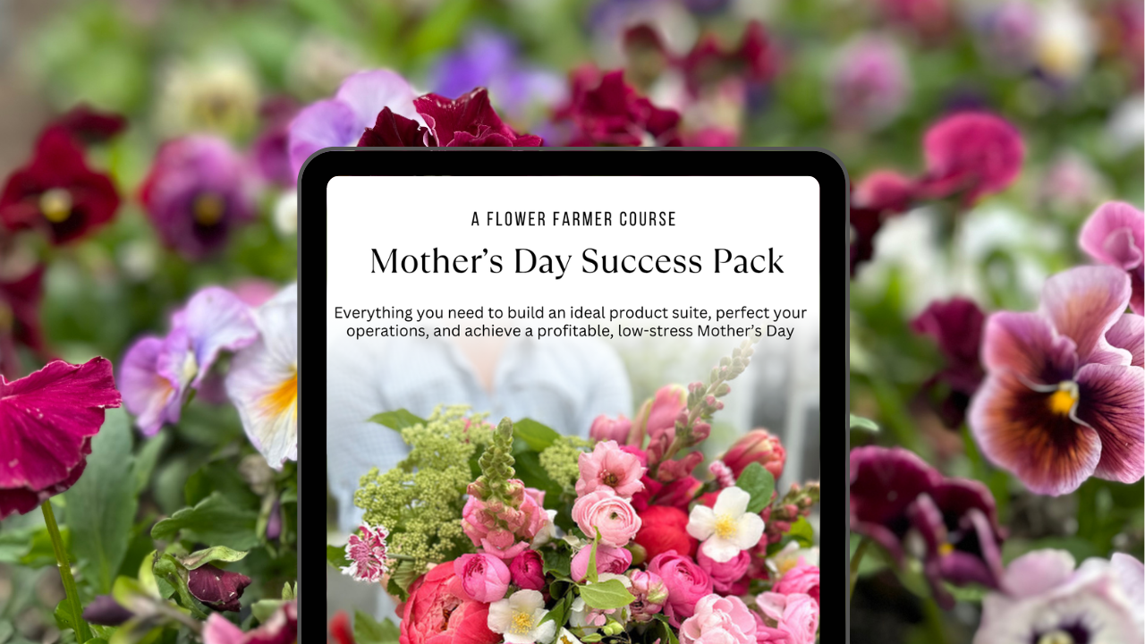 Mother's Day Success Pack