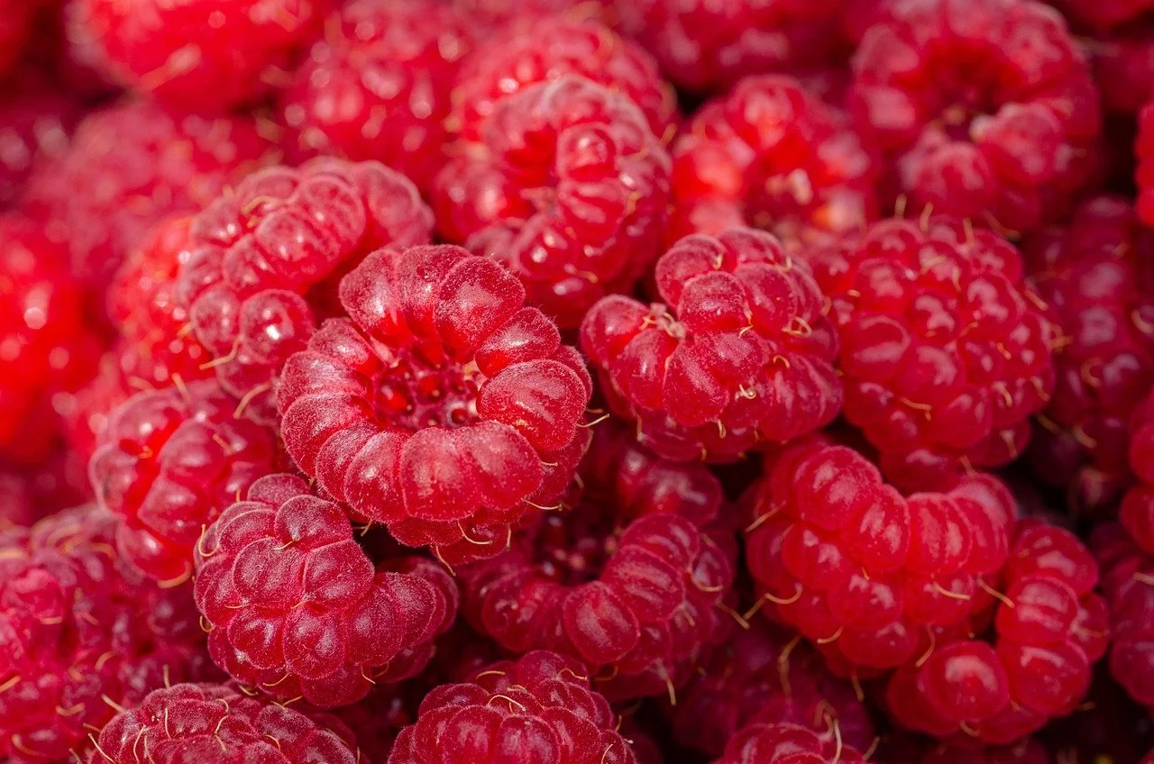 Fruit