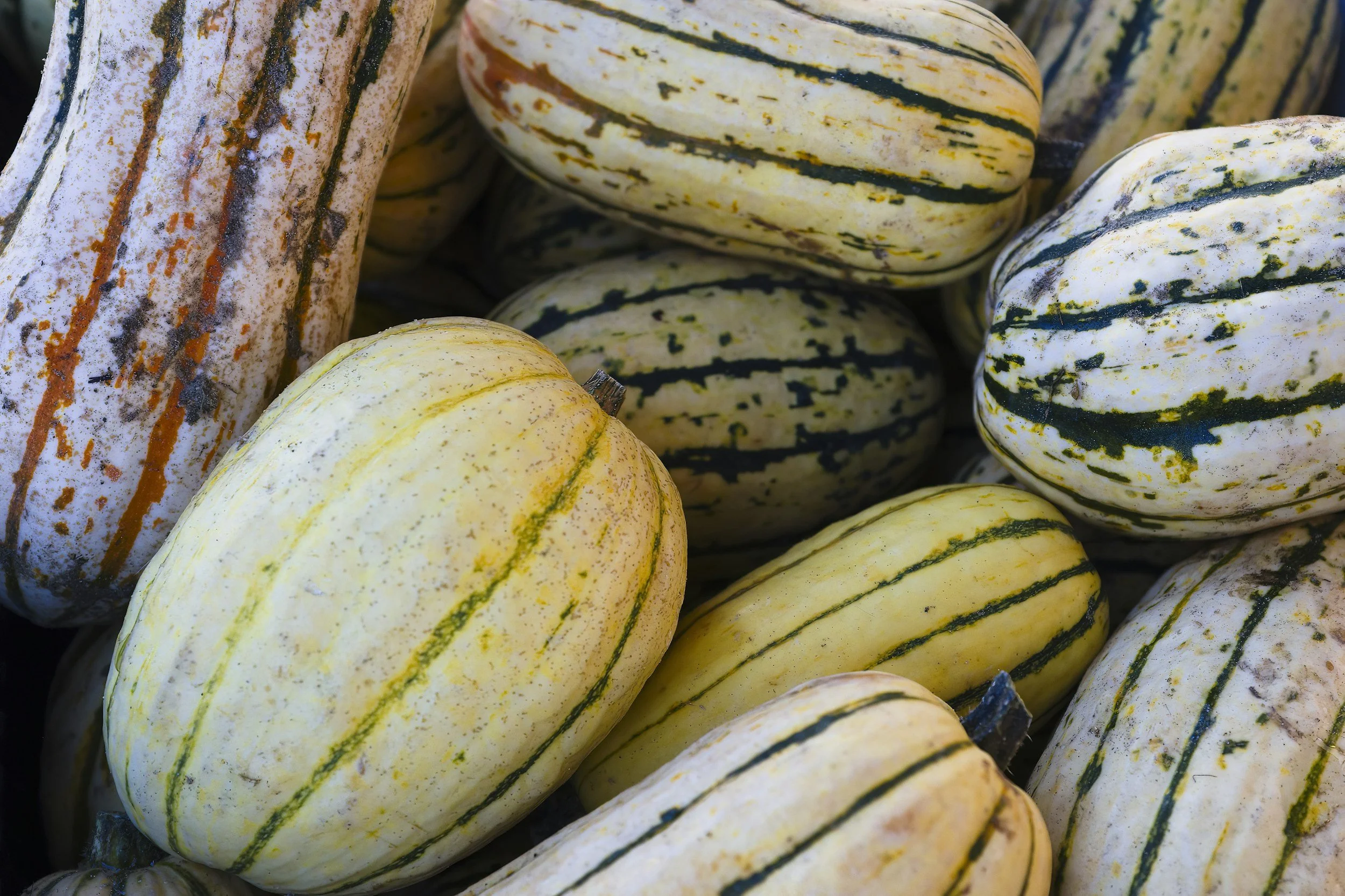 A pile of striped squash, displaying their unique patterns and colors, representing the diverse, locally grown produce that Saba Community Food Alliance sources from BIPOC farmers to support healthy, ethical food distribution in the Bay Area
