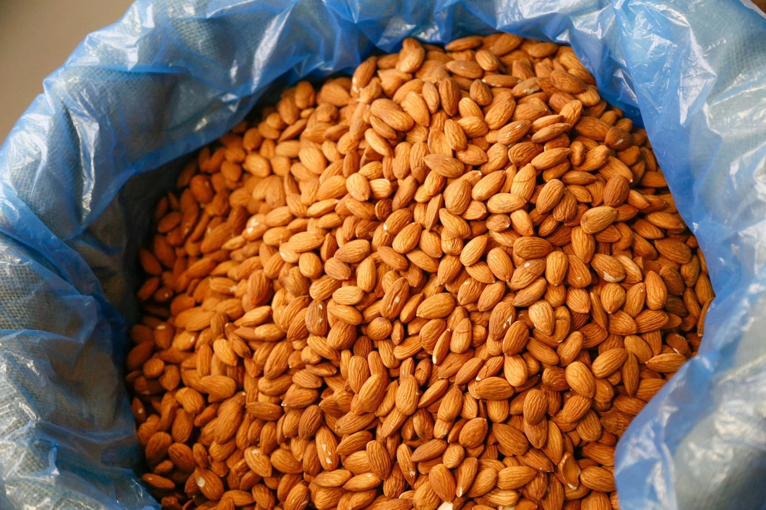 A large bag of raw almonds, showcasing ethically sourced nuts from BIPOC farmers, aligned with Saba Community Food Alliance’s commitment to sustainable, healthy food distribution in the Bay Area.
