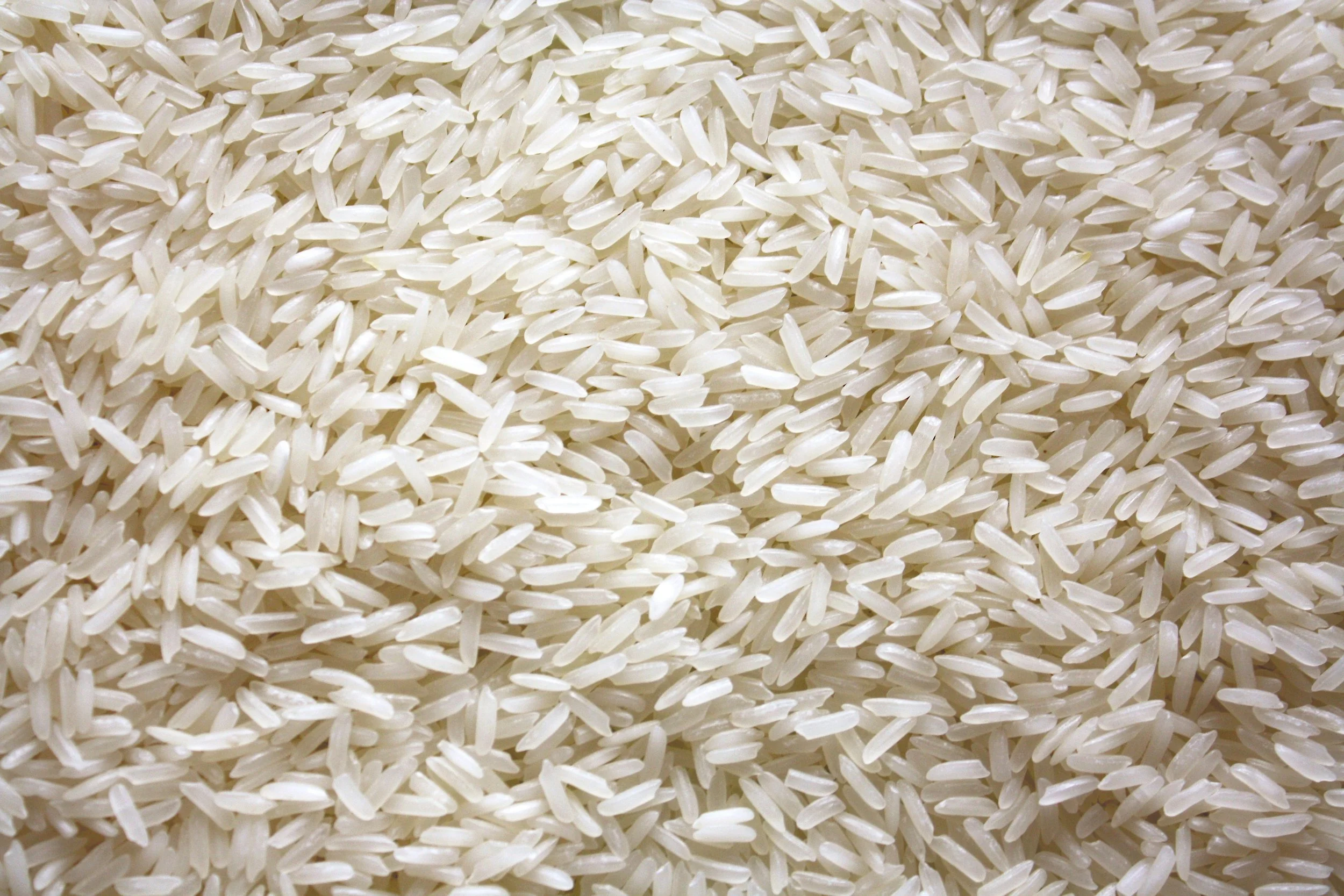 Grains