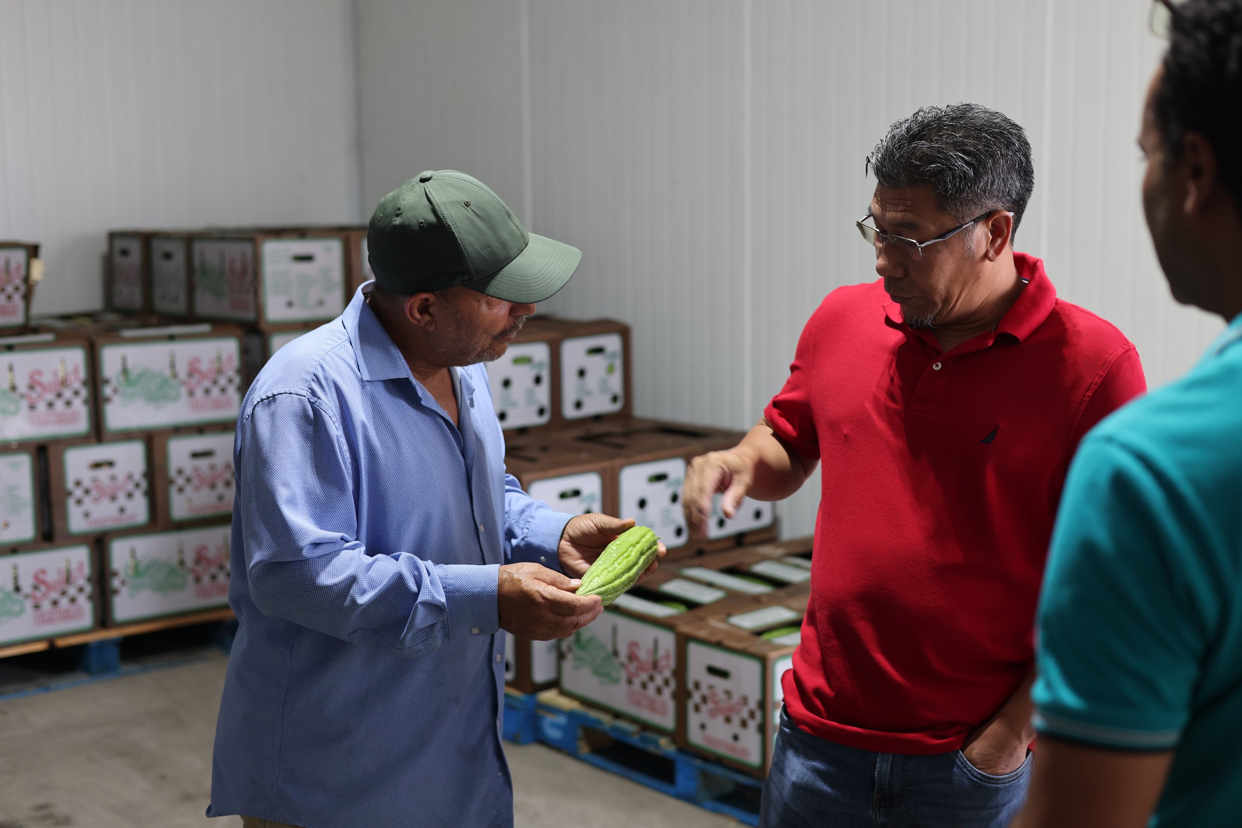 Three men from Community Food Alliance examining a bitter melon in a warehouse with boxes stacked in the background.