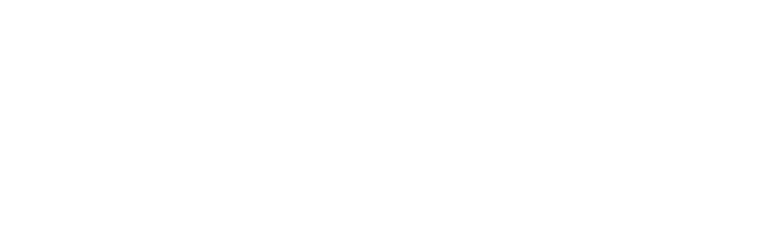 Ray/White logo in white text on a black background