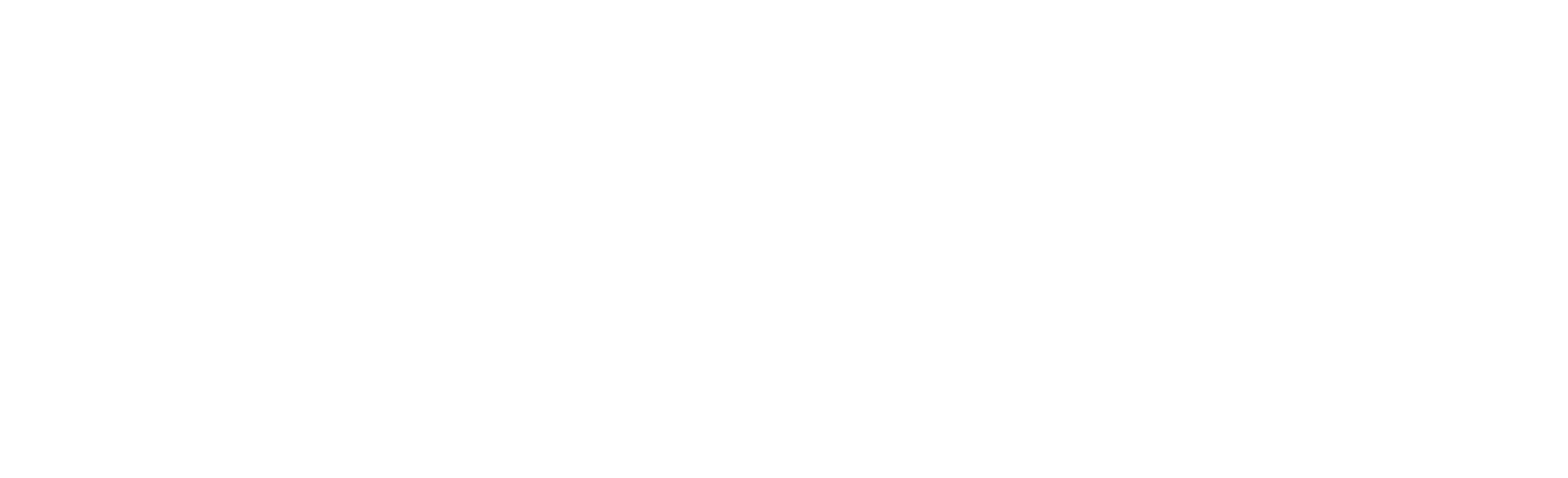 Logo with the text 'TireShop ONLINE' in bold, stylized font with a checkered flag pattern on the left.