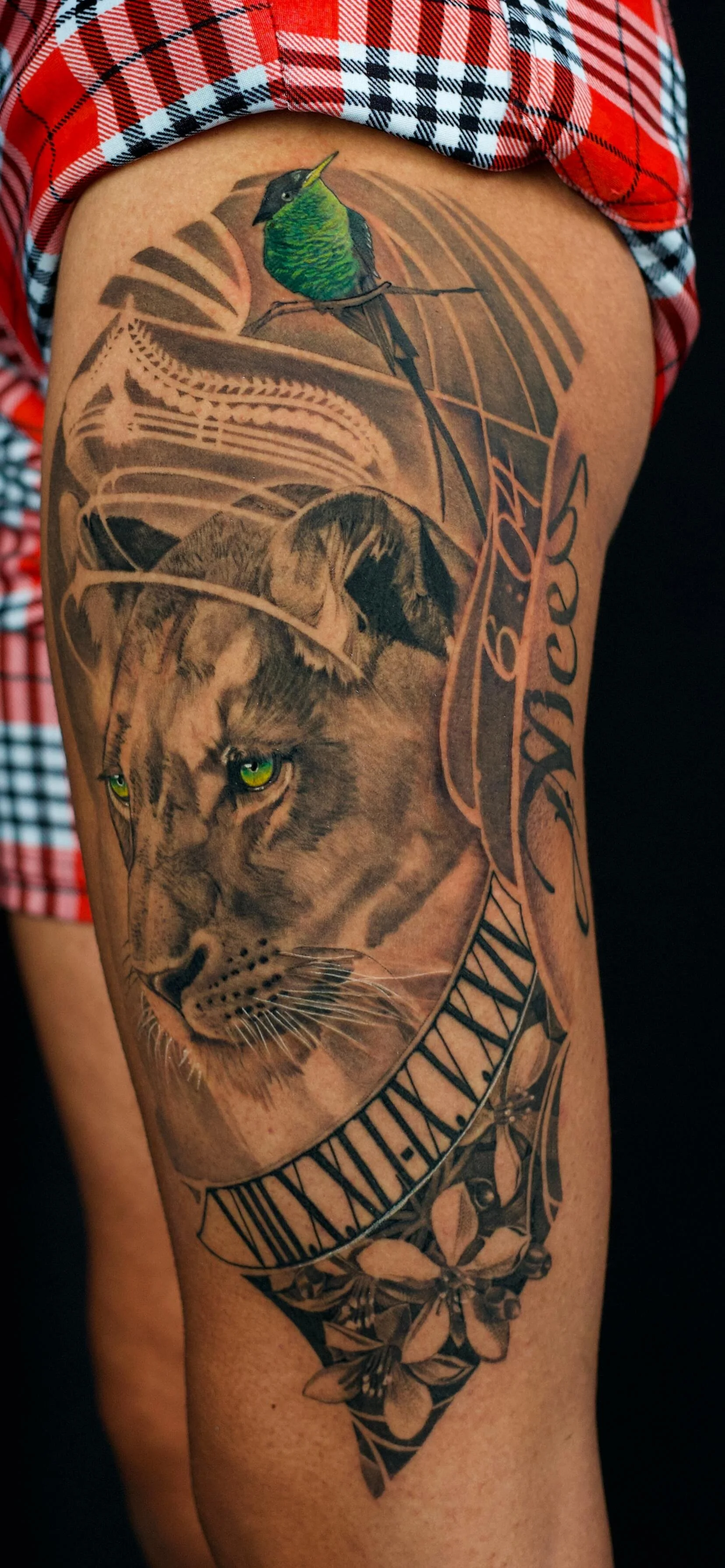 Tattoo of a realistic mountain lion with yellow-green eyes, surrounded by a hummingbird on a branch, a floral pattern, and Roman numerals encircling the animal.