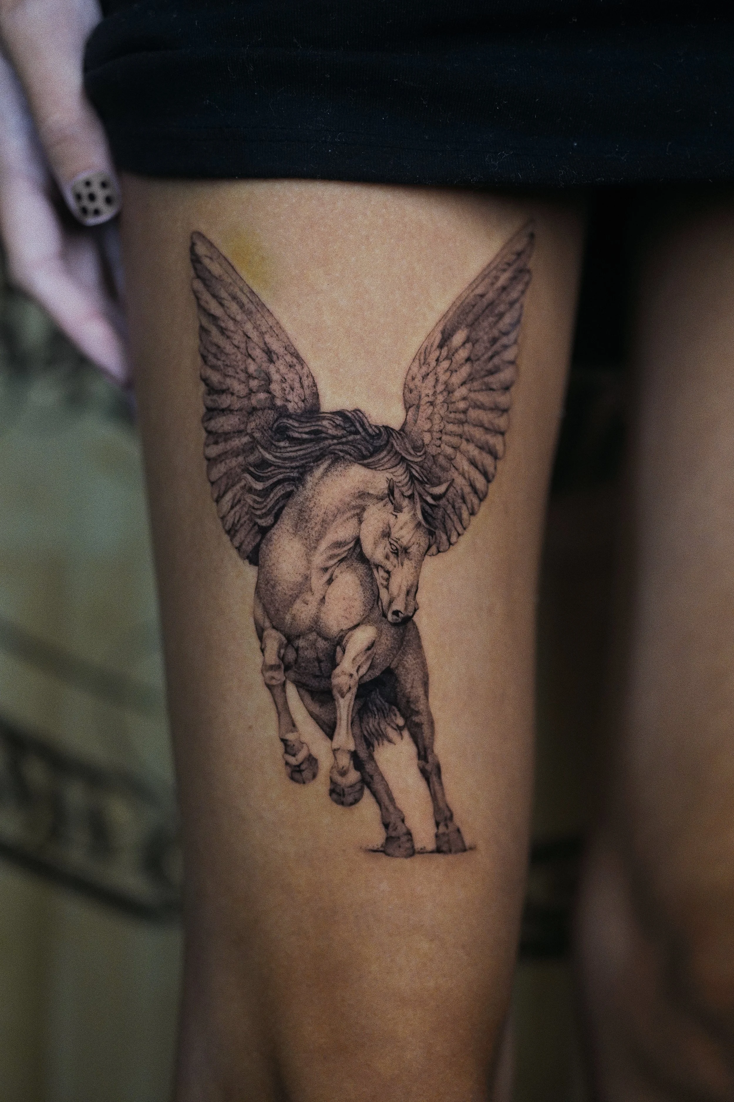 Pegasus