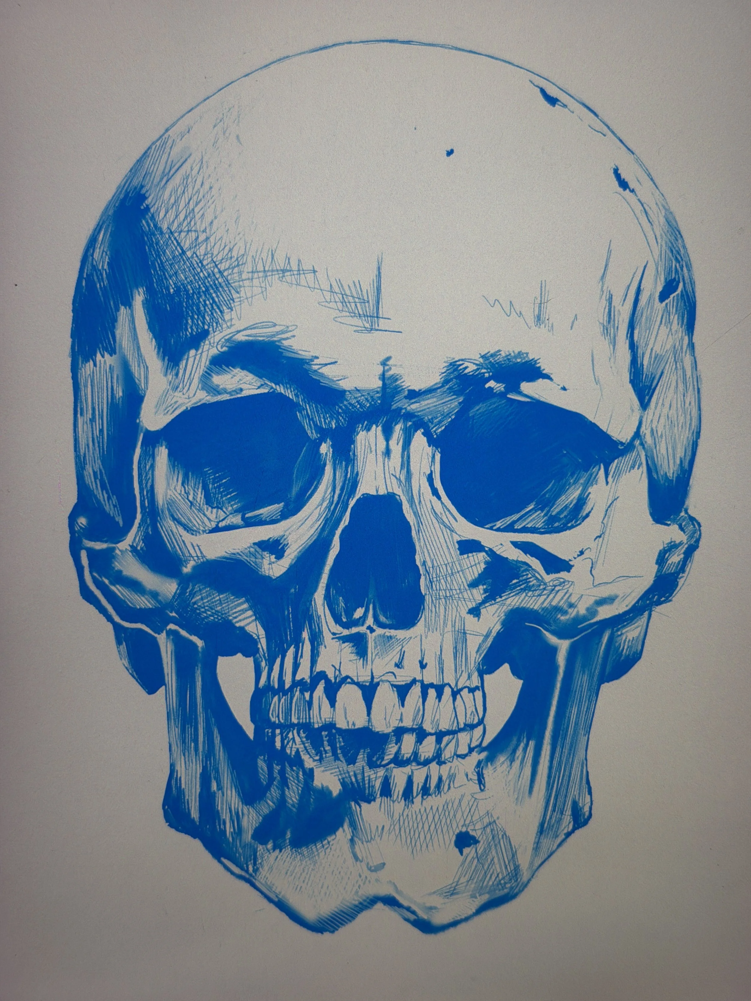 Skull Study Drawing