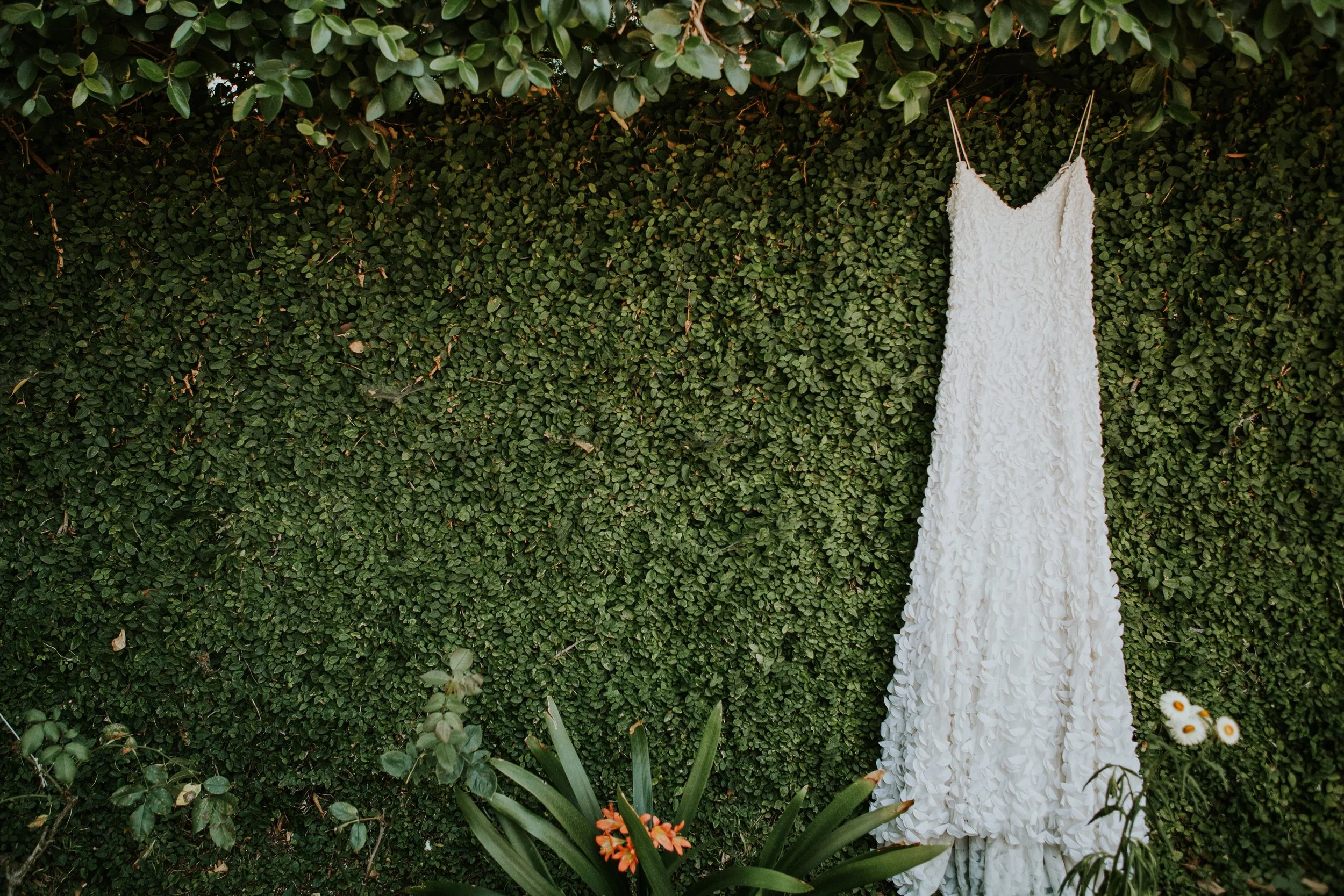 wedding dress hanging off lush green garden wall coordinated by denver wedding planner