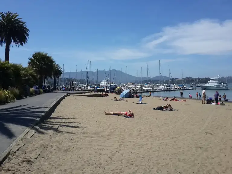 Fear Less Sausalito