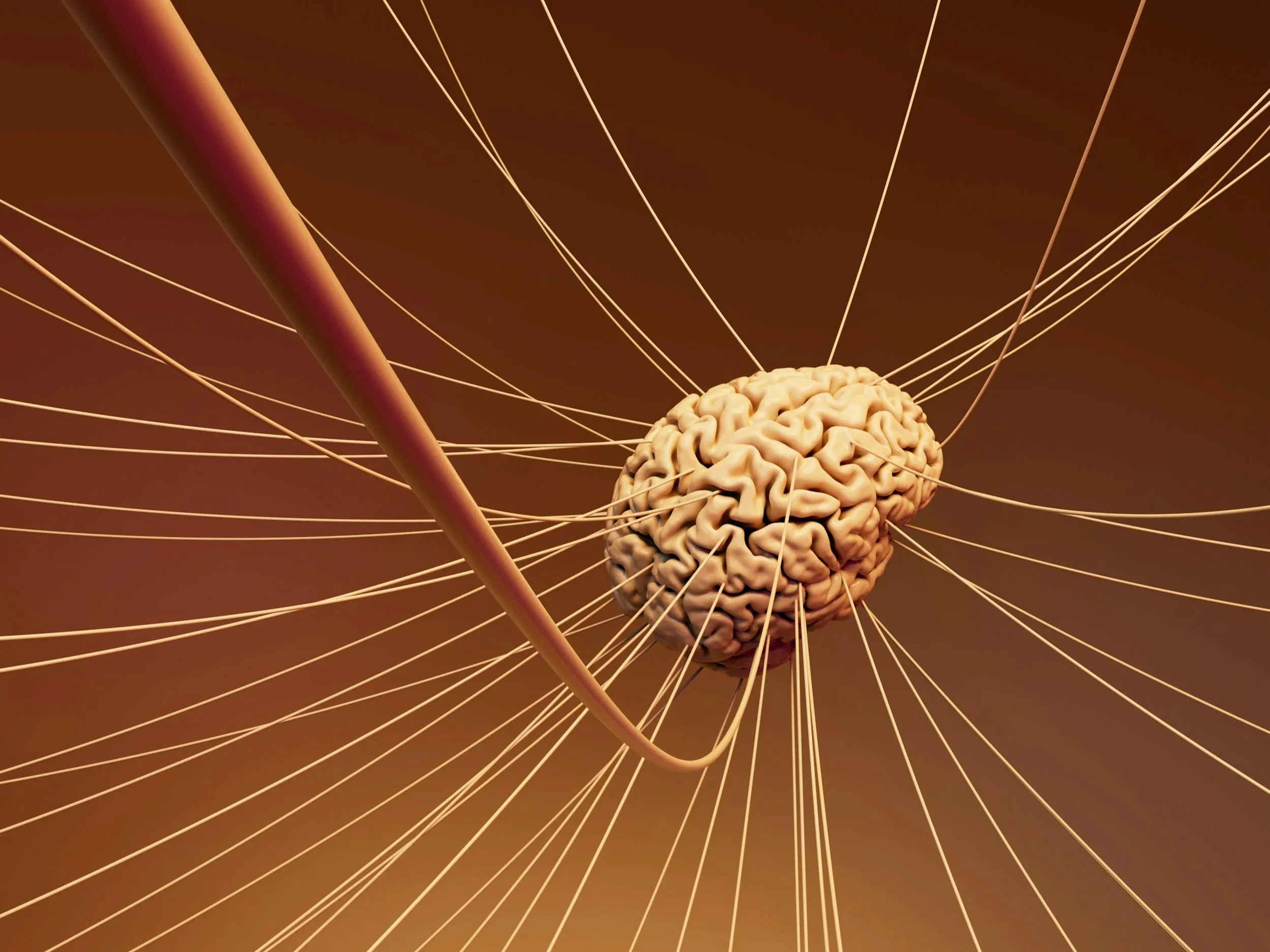 How Does Acupuncture Work?