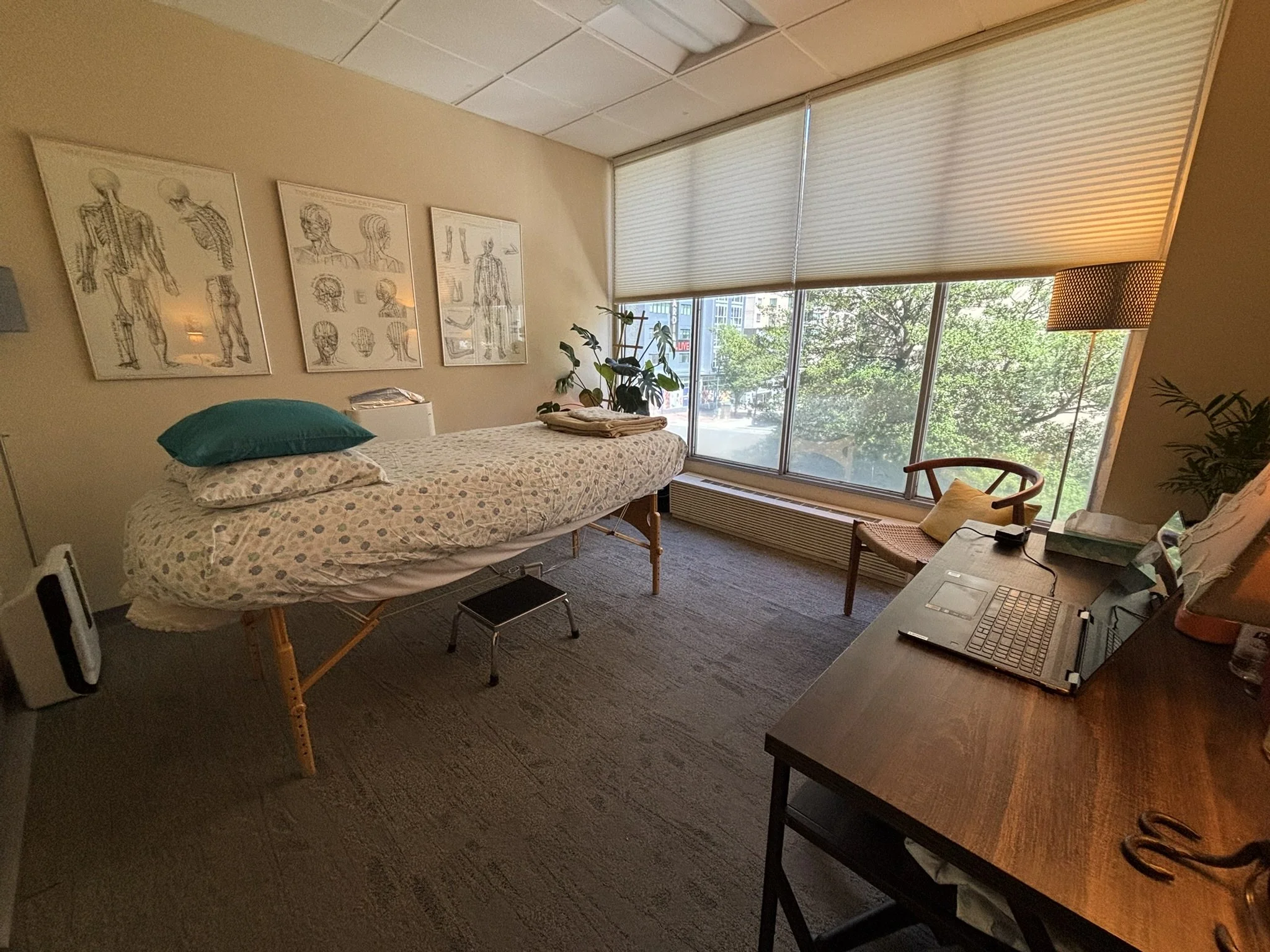 A photograph of a calm and serene treatment room with a large window