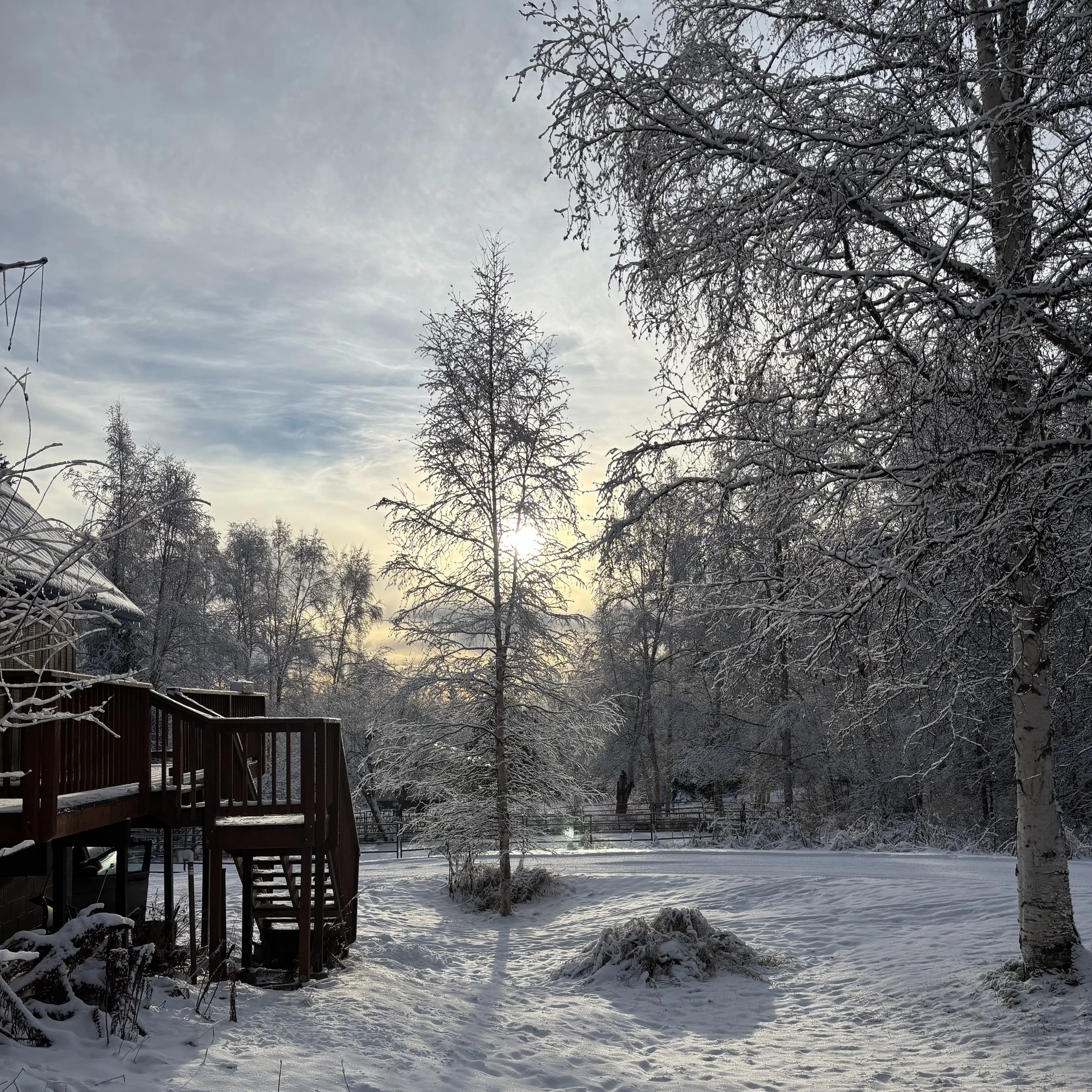 A winter scene with snow covered house, trees, and pond