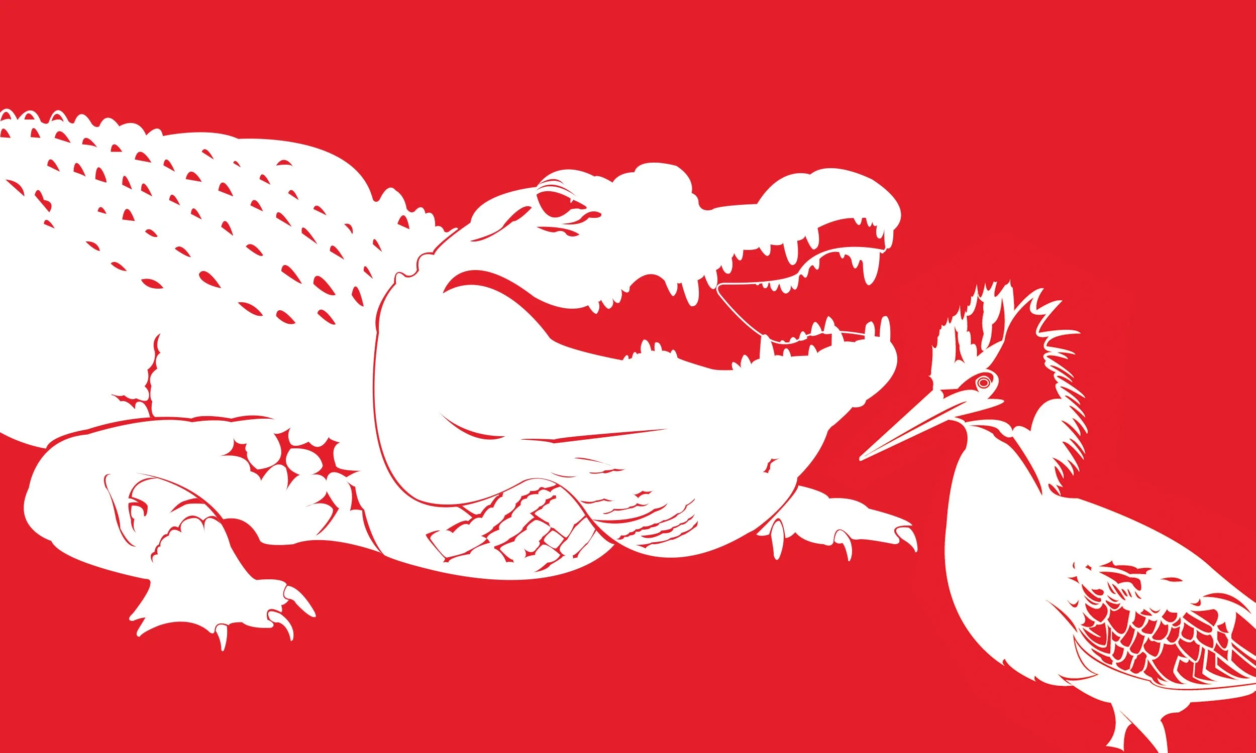 Everglades Illustrations