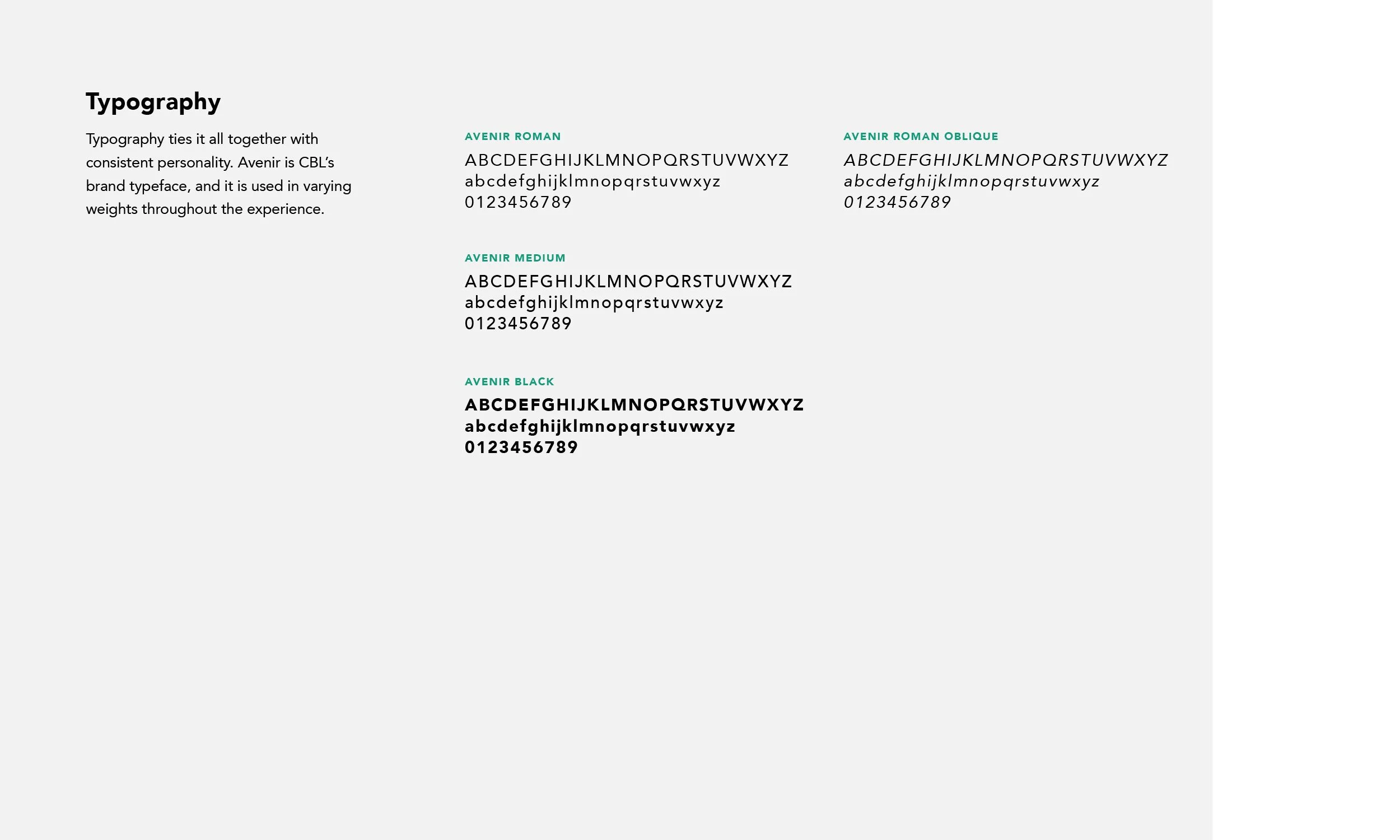 Typography