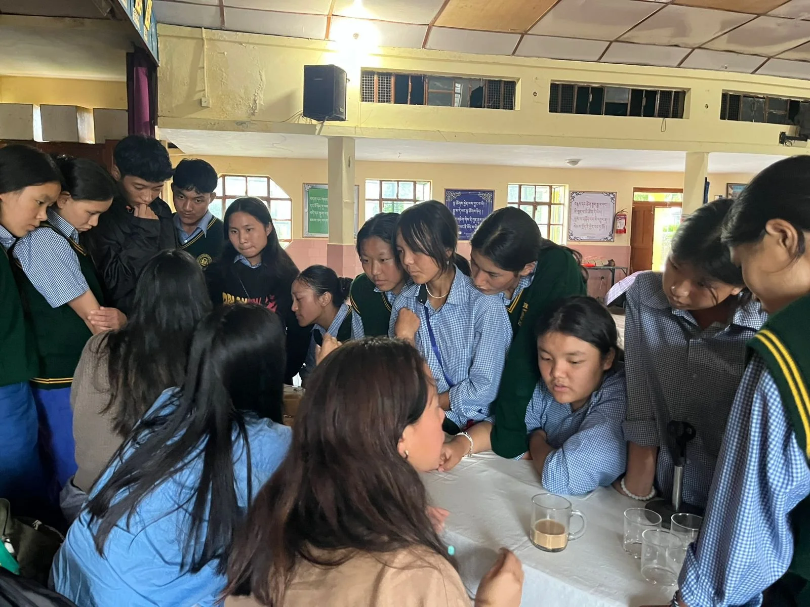 TCV Career Counseling 2