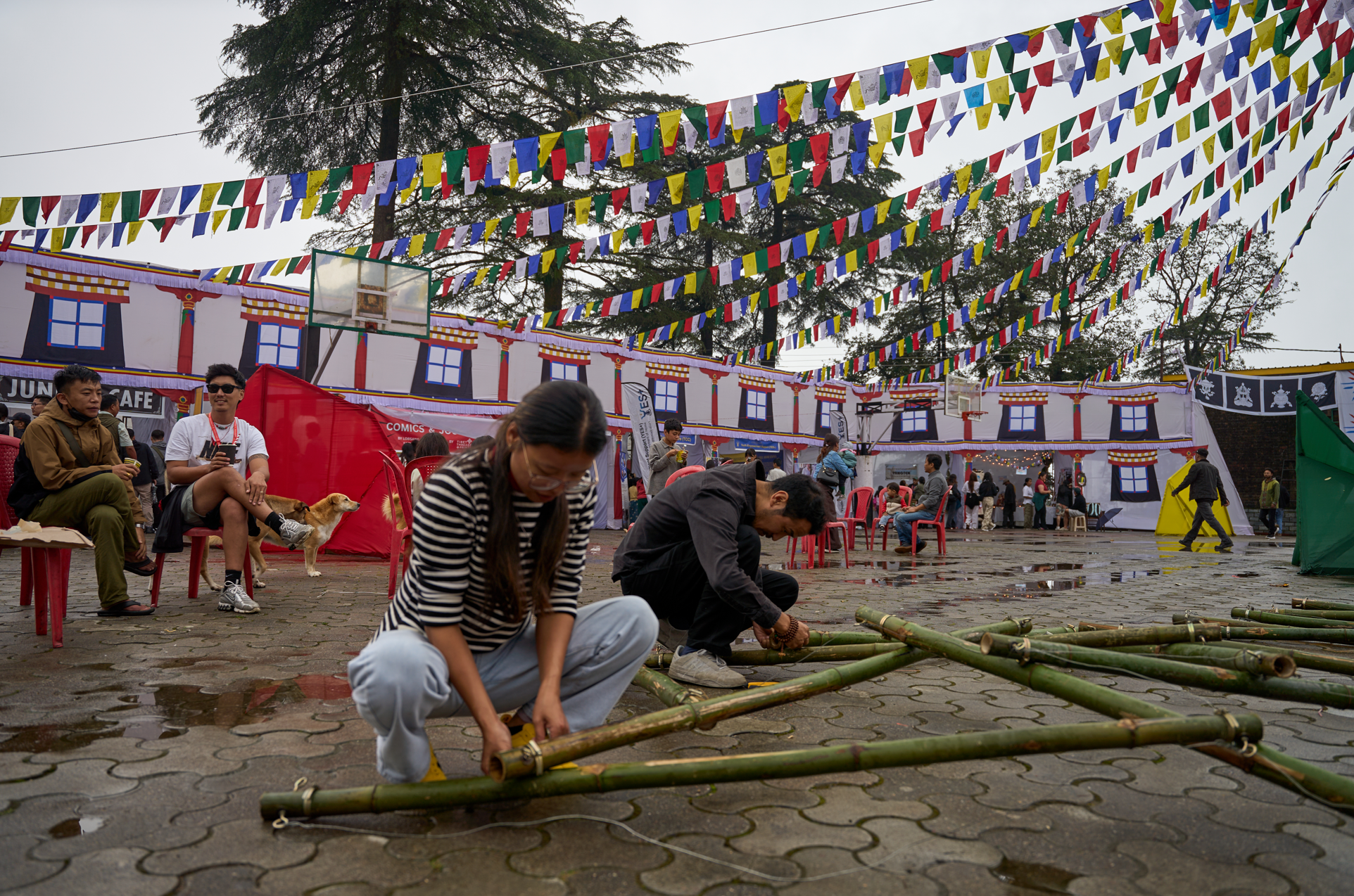 Tibetan Youth Festival 