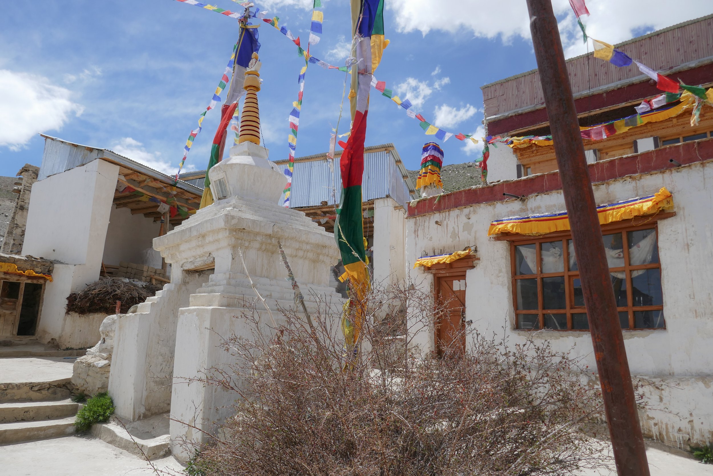 P1080442.jpg