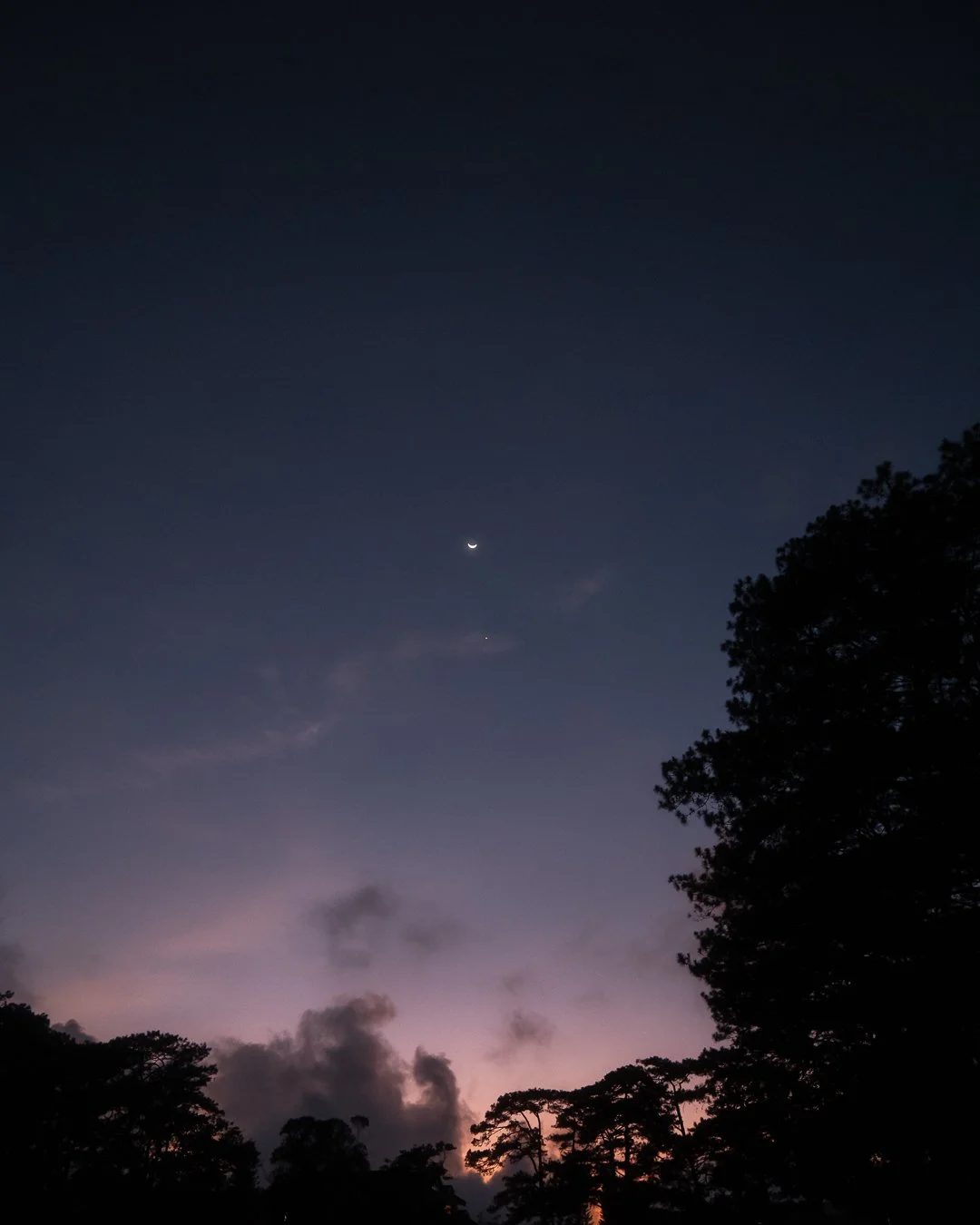 #32of365-3.jpg