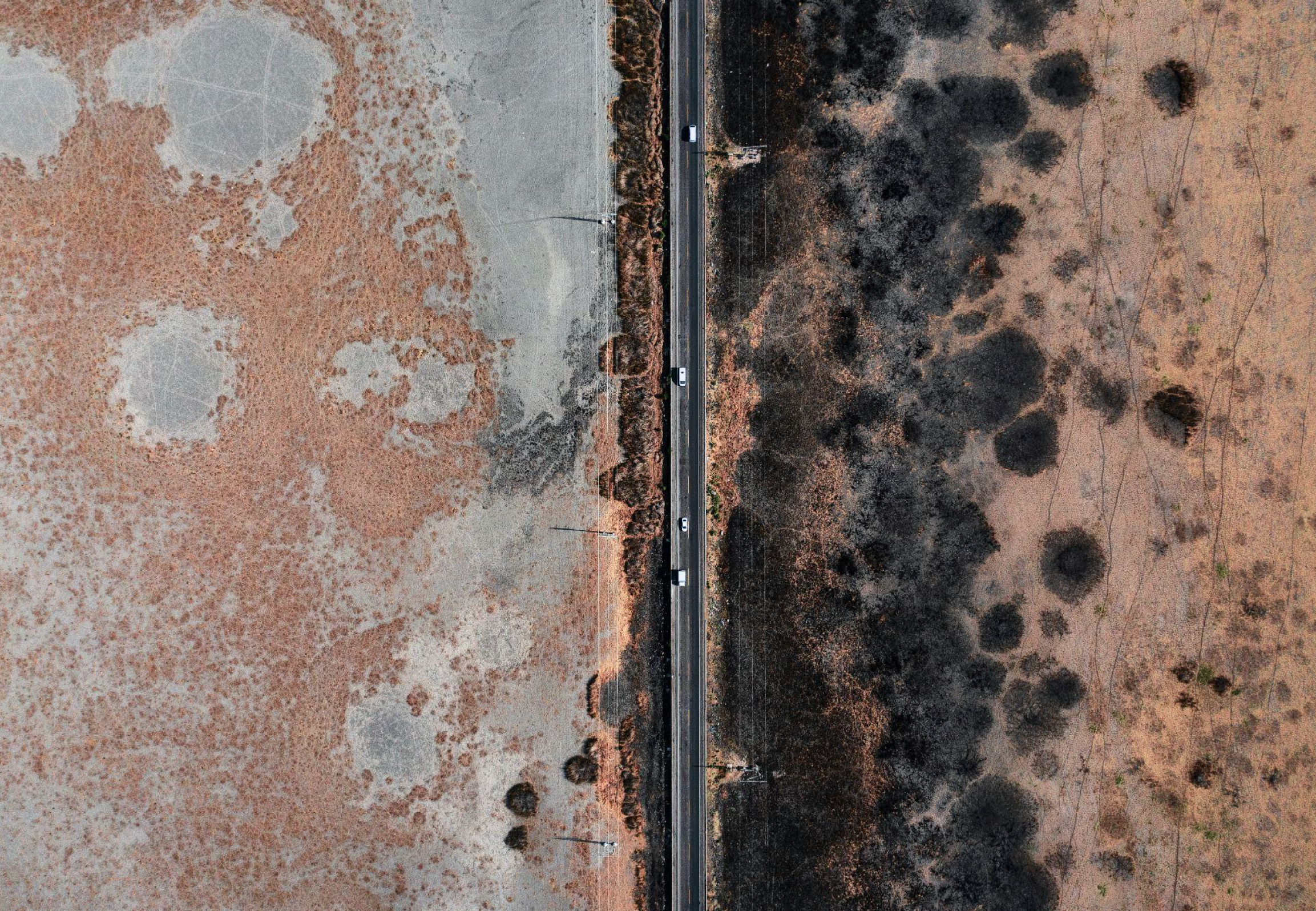 Mold in the Home: A Guide to Mold Removal
