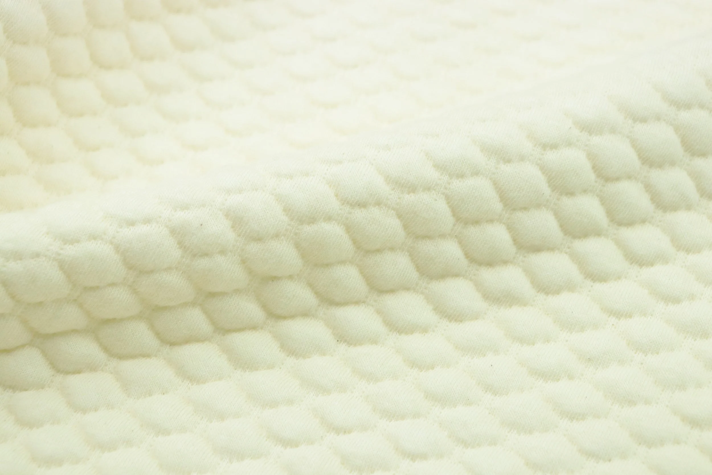 What are the Laws Surrounding Bed Bug Infestations