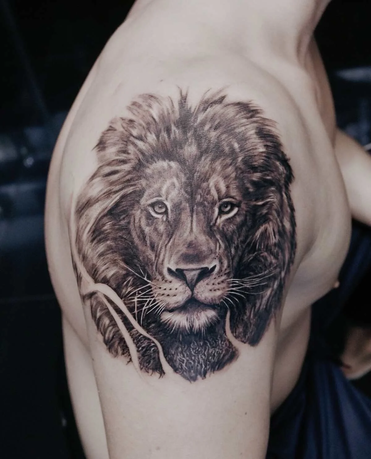 Powerful black and gray lion portrait tattoo on the shoulder by Binx at Recycle Tattoo. This piece features realistic fur textures, intense detail in the eyes, and soft gradient shading, showcasing custom animal realism in Garden Grove.