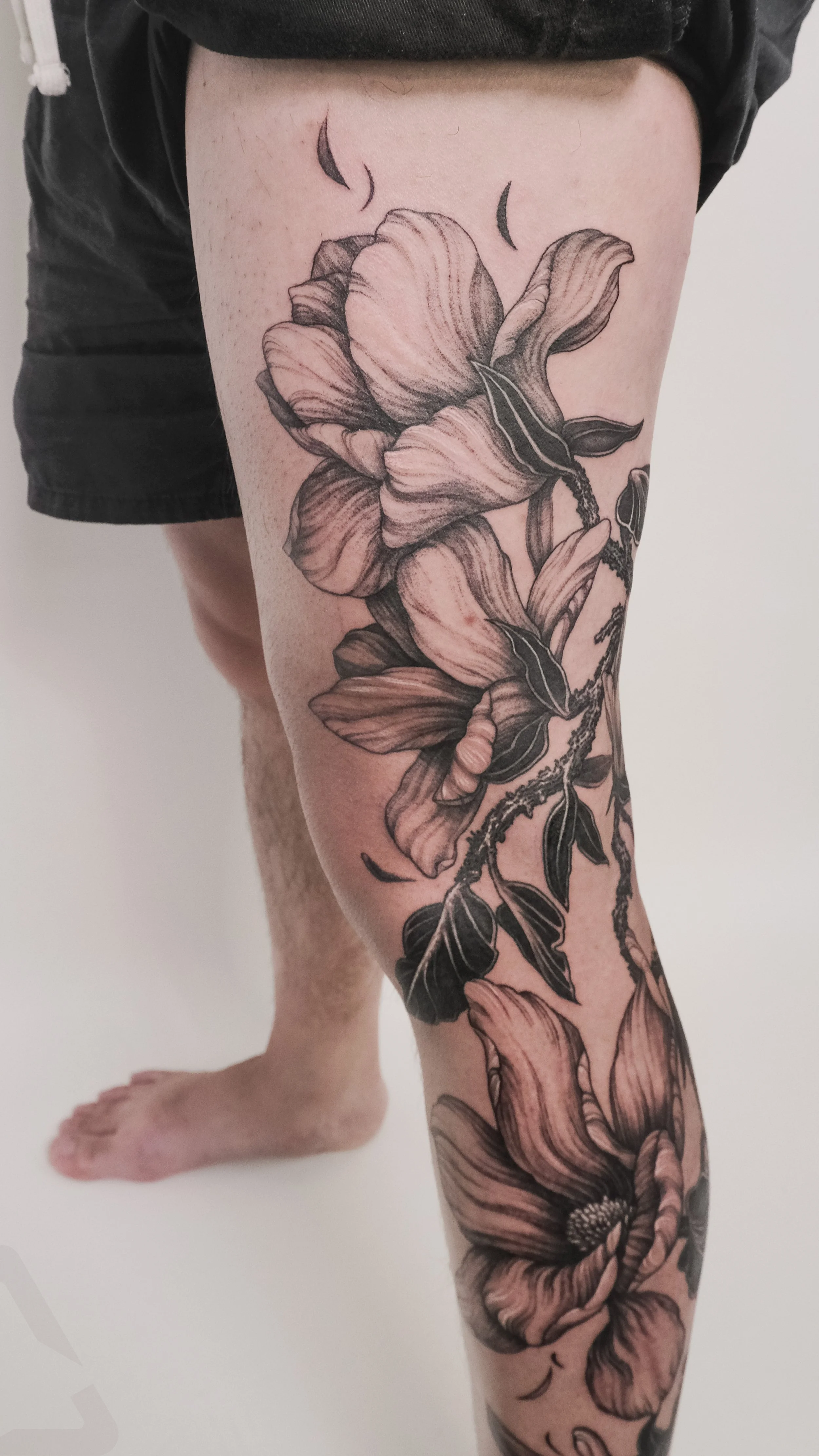 flower-fineline.jpg