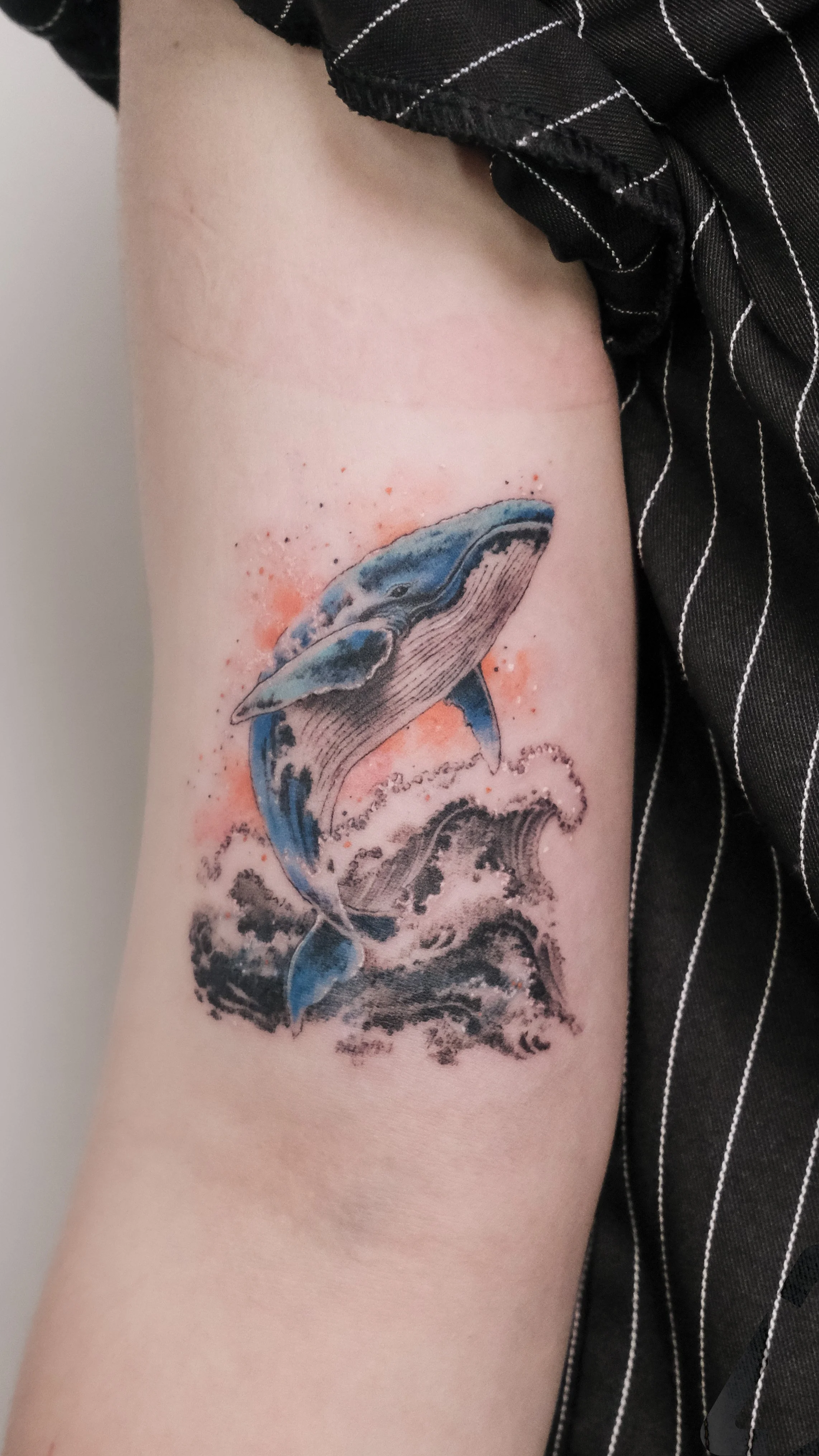color-whale.jpg