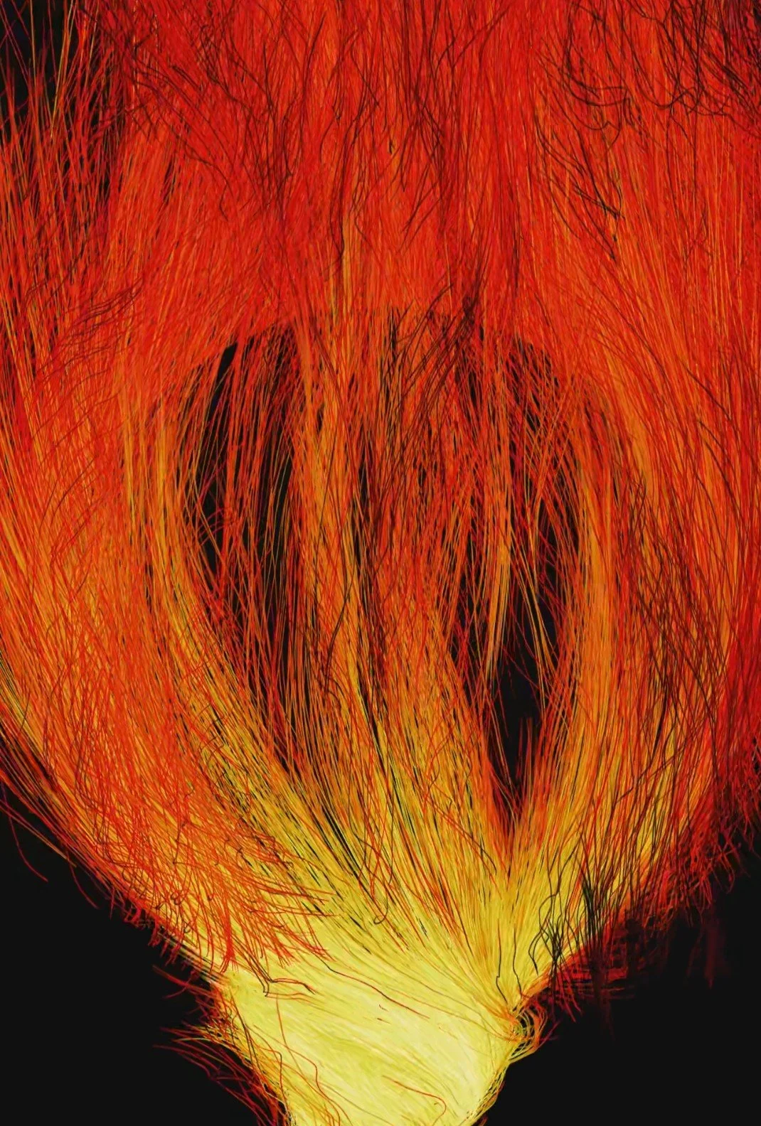Close-up of a flame with vibrant orange, yellow, and red colors against a black background.