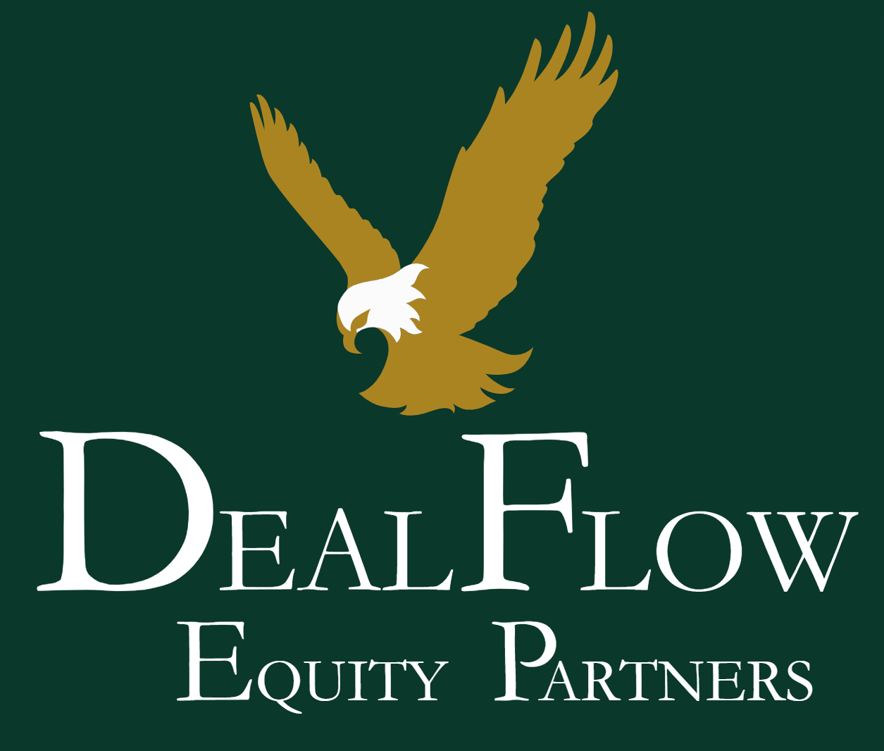 DealFlow Equity Partners - Proprietary Deal Sourcing and Origination