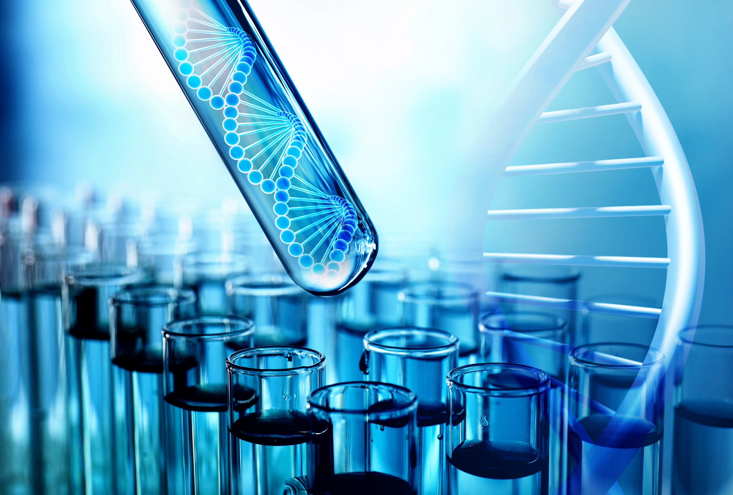 How inflammaging influences your risk for age-related diseases