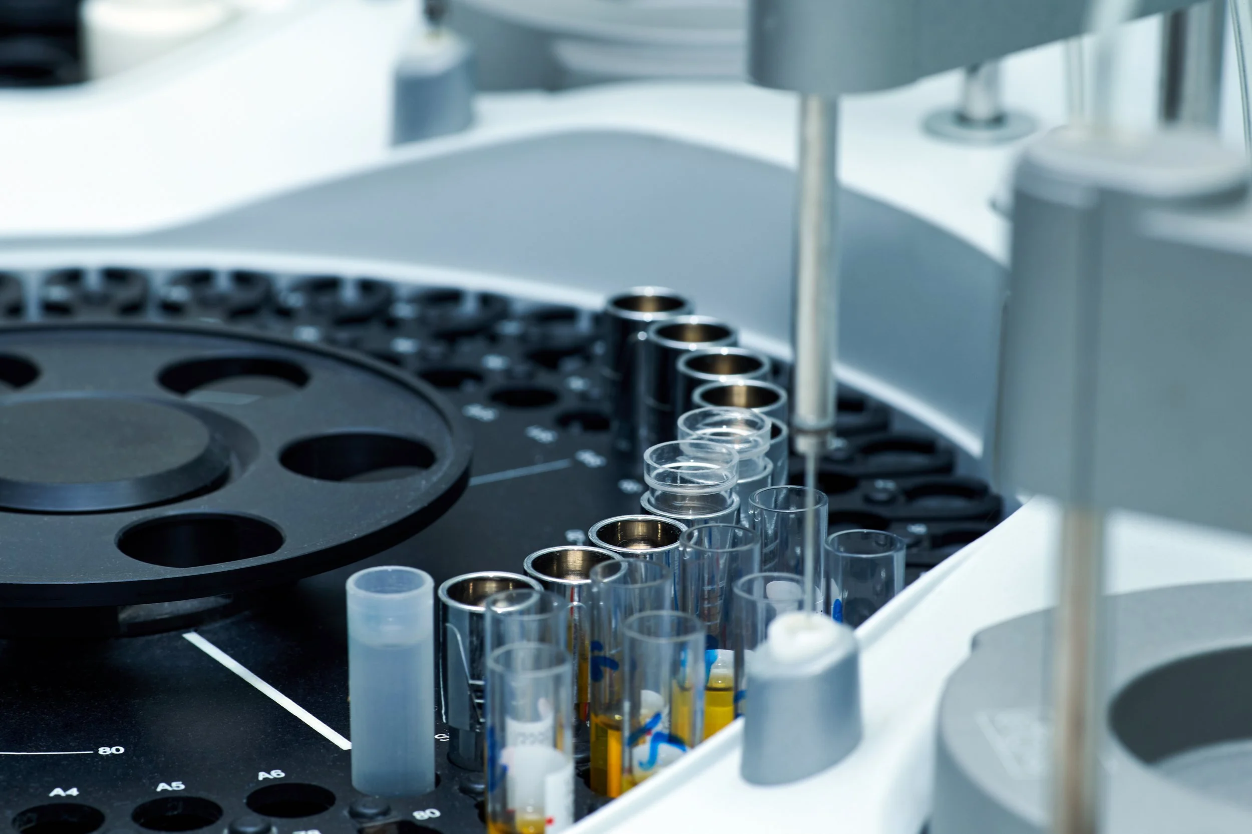 Measuring inflammaging: Advanced diagnostics to guide your longevity journey