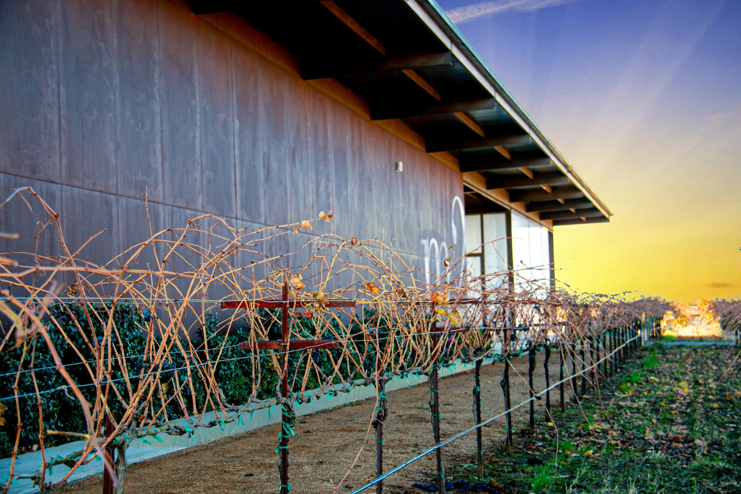 m2building-sunlight.jpg