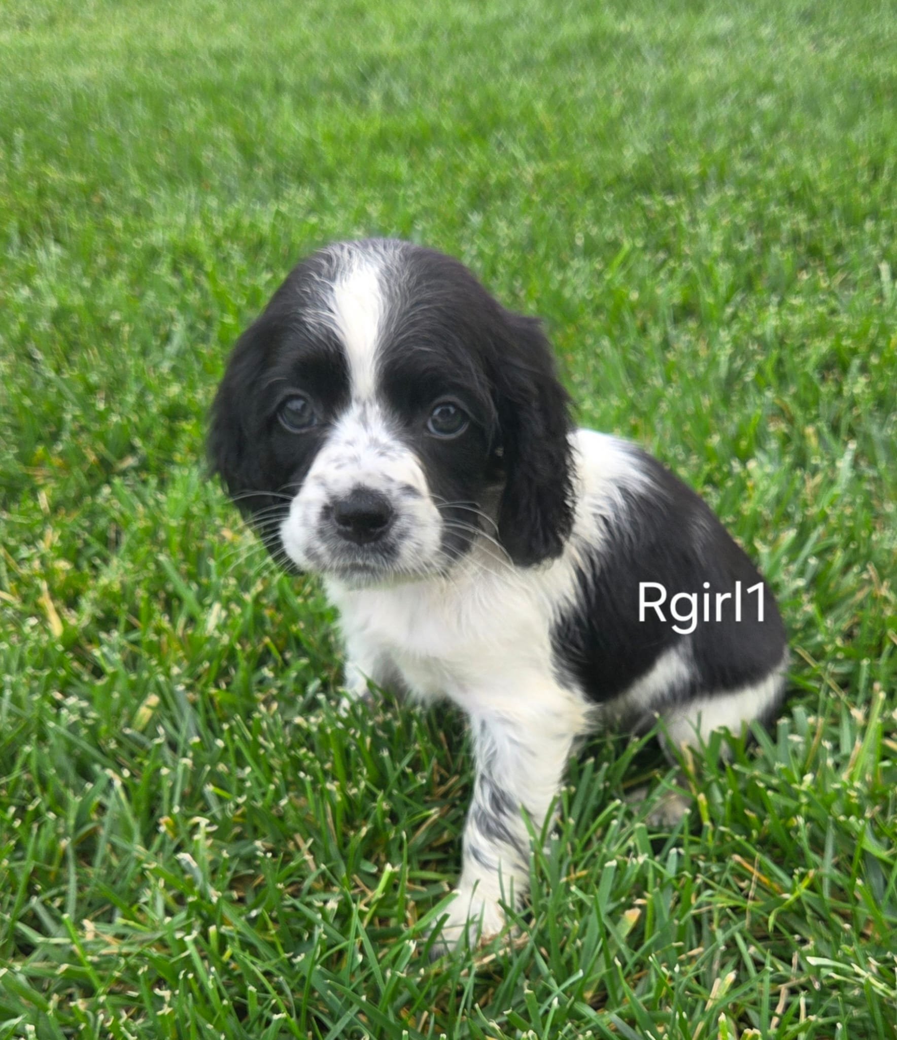 925fa27c-17e9-42cd-9226-c69473a83999 1.JPG