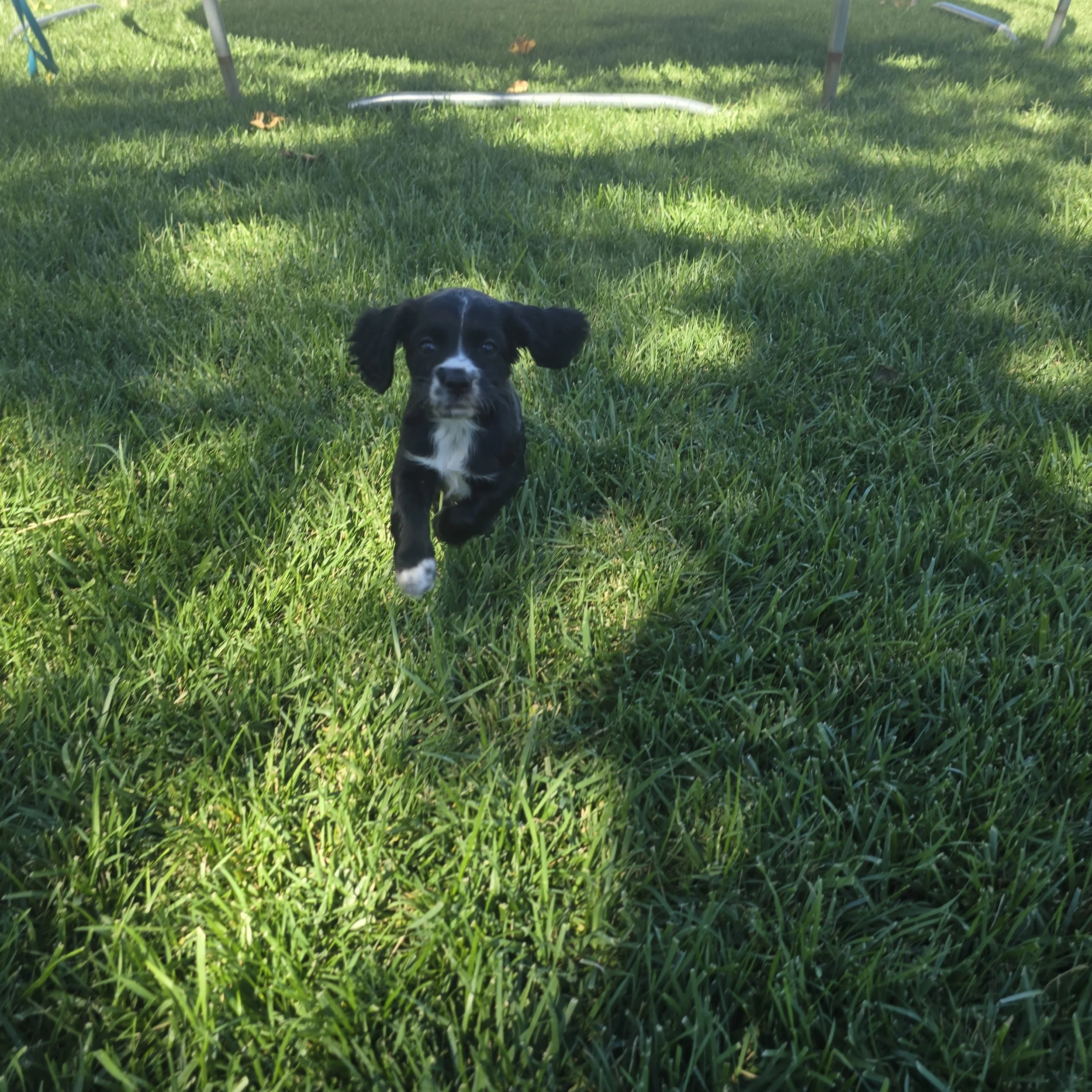 20240912_151238.jpg