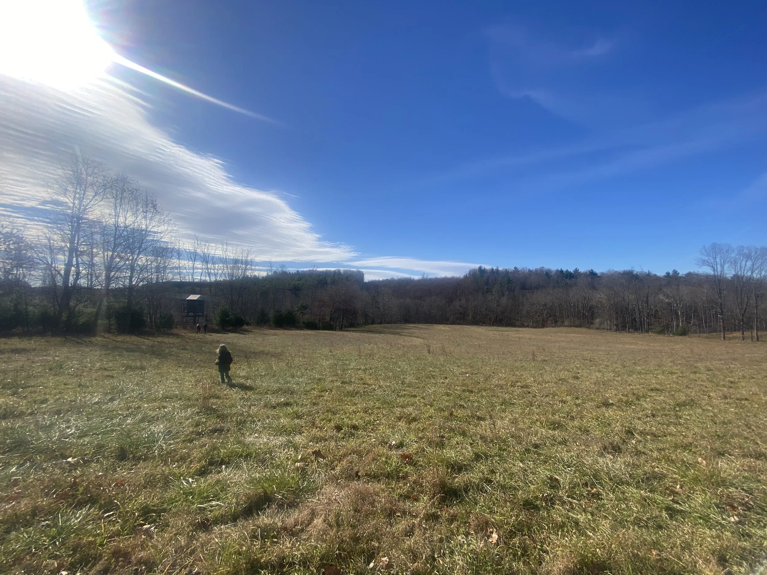 We did it! Porky Pastures is MOVING!