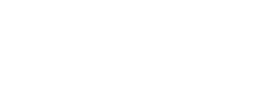 S G Fessel